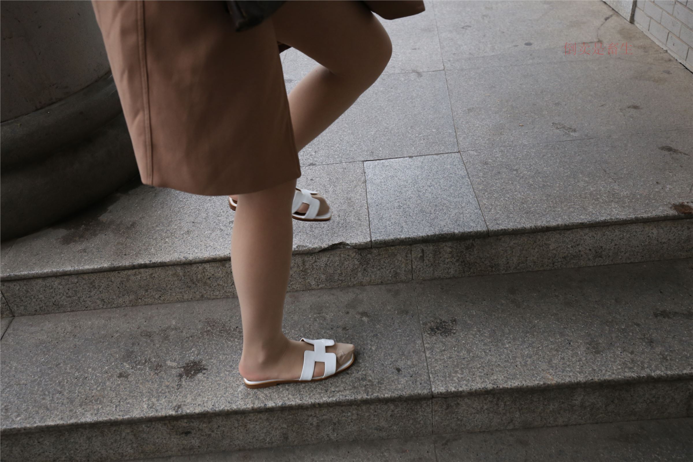 高中生大西瓜套图-(246)  103p   ZXS-H006