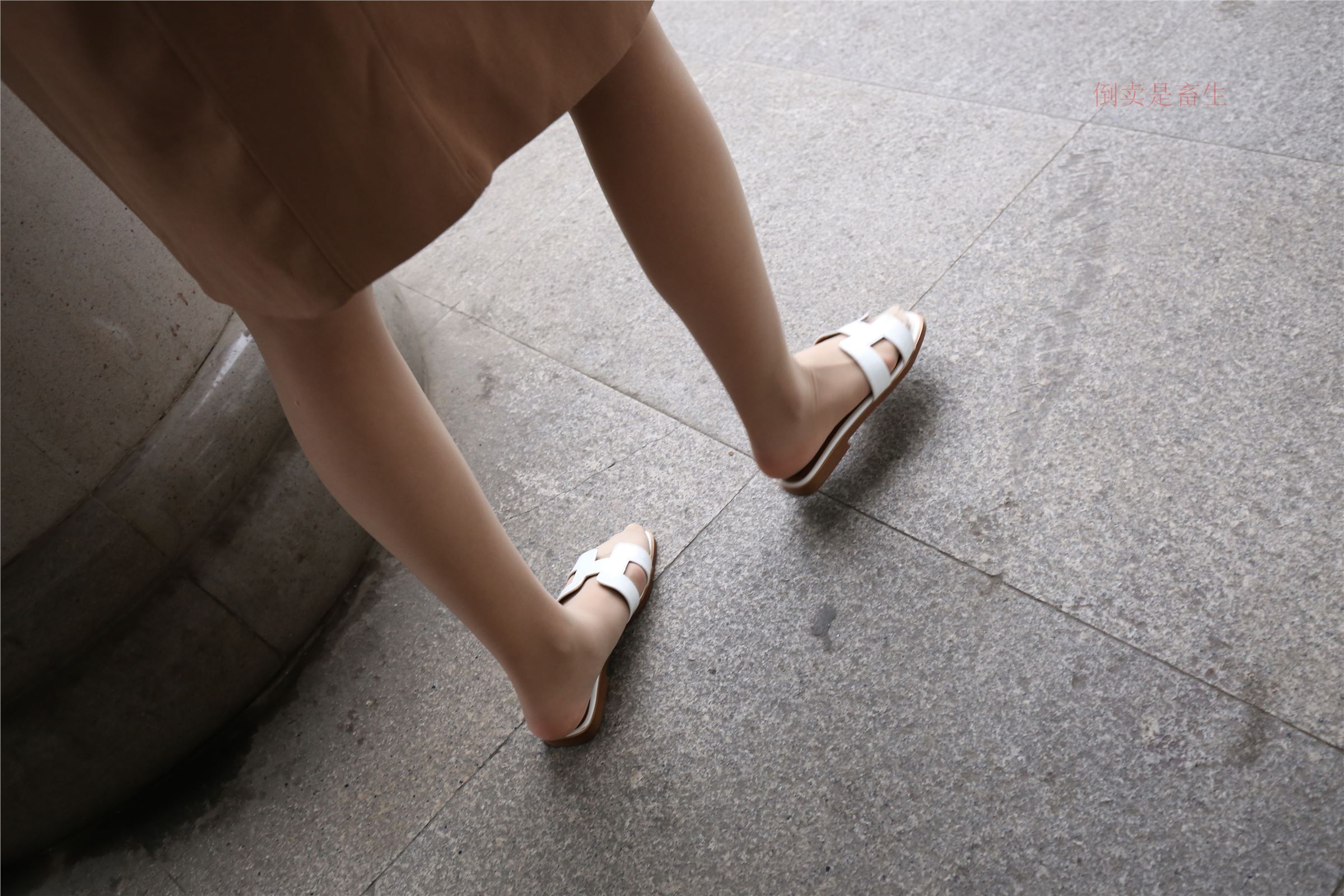 高中生大西瓜套图-(246)  103p   ZXS-H006