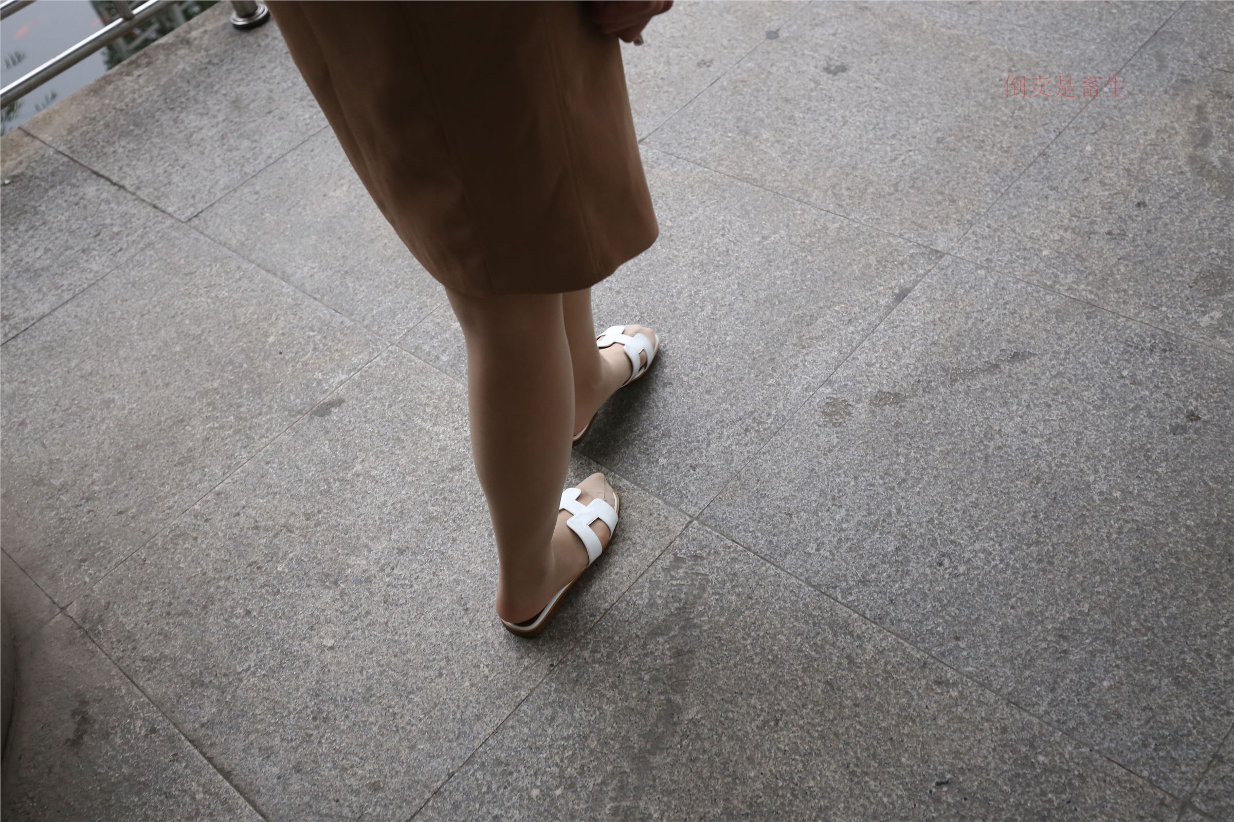 高中生大西瓜套图-(246)  103p   ZXS-H006