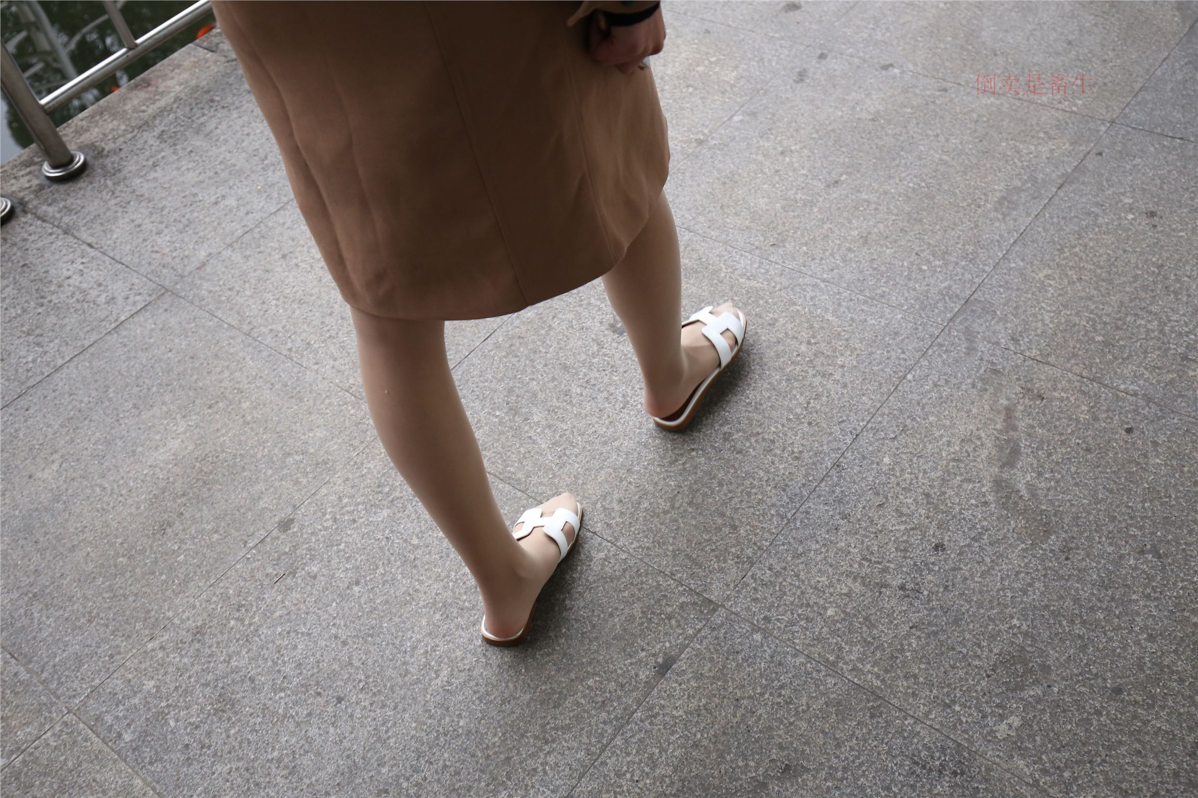 高中生大西瓜套图-(246)  103p   ZXS-H006