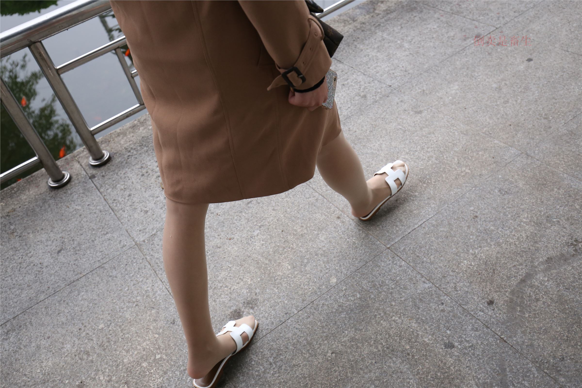 高中生大西瓜套图-(246)  103p   ZXS-H006