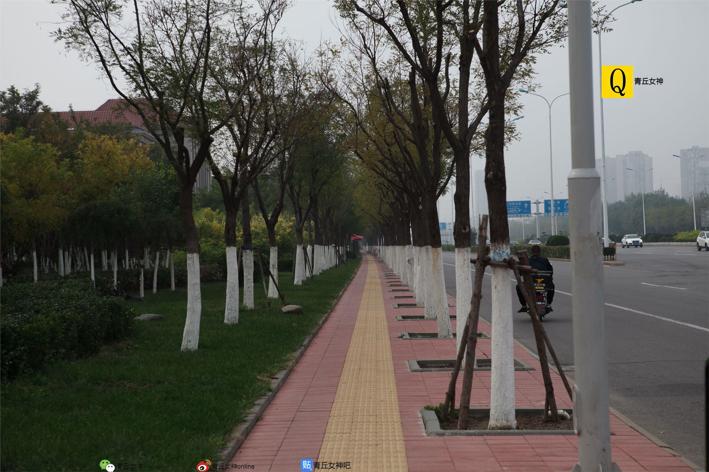 [青丘女神]2017.10.15 Q10.055 小豆