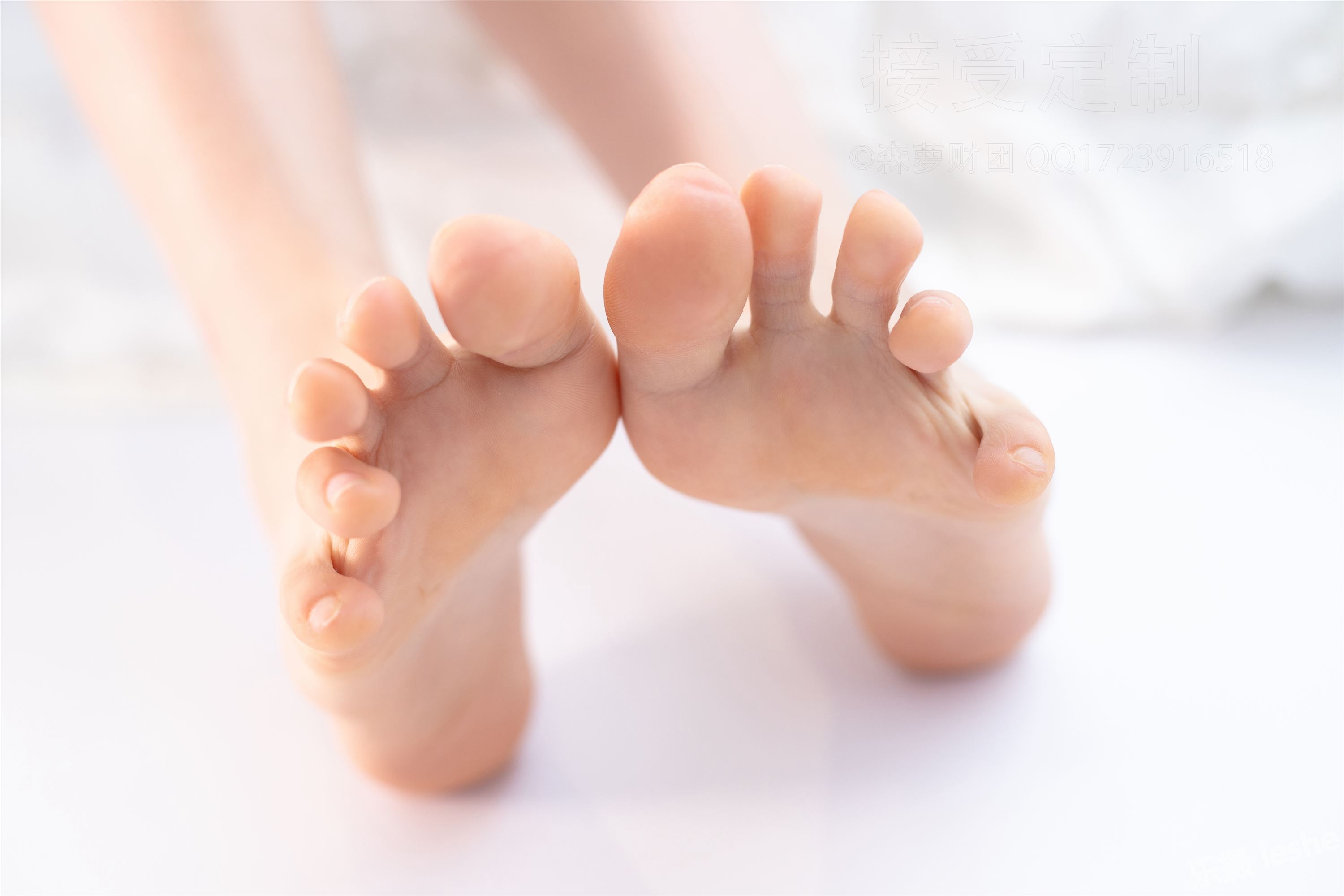 [森萝财团]萝莉丝足写真 ALPHA-017