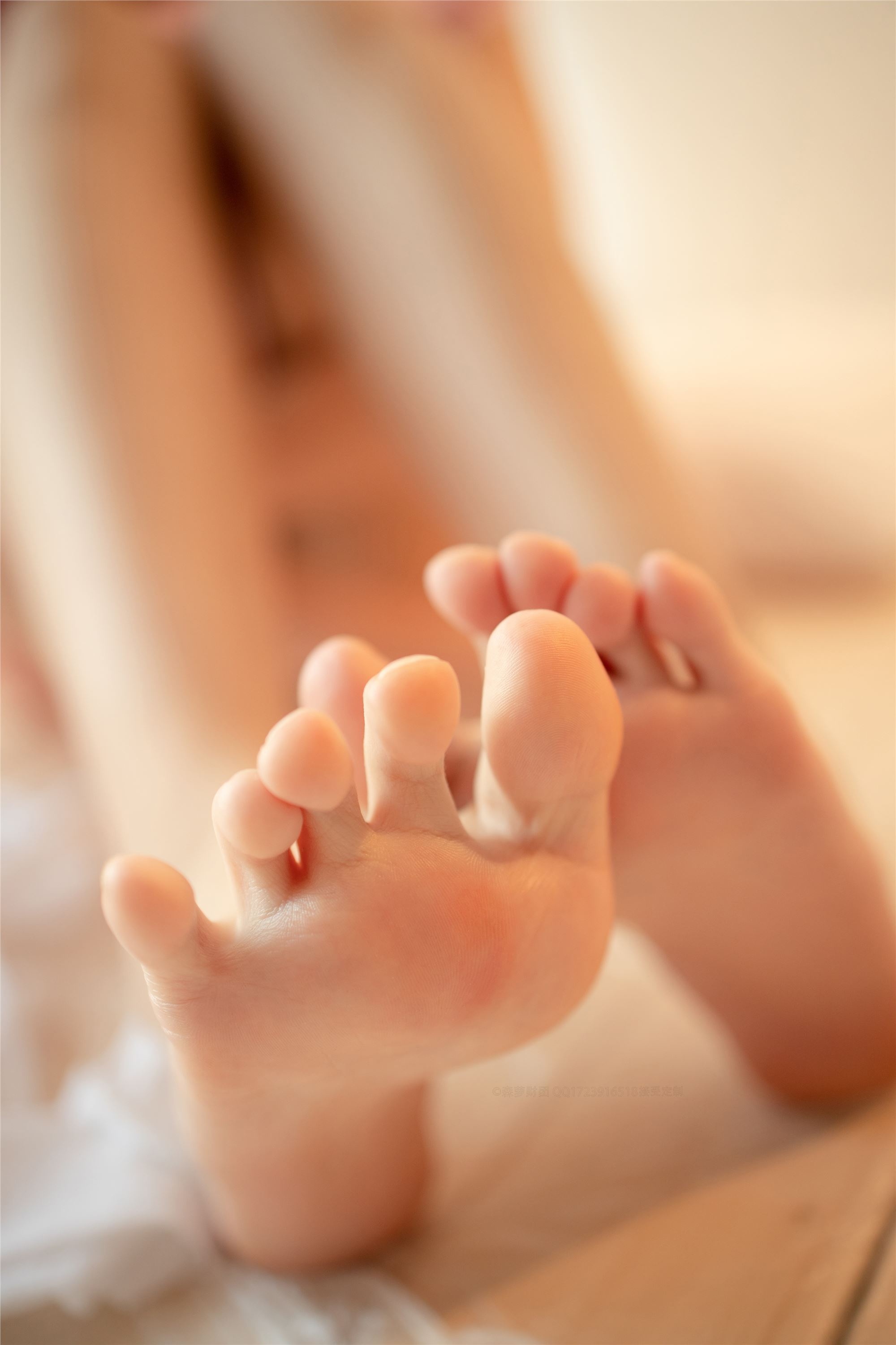 [森萝财团]萝莉丝足写真 ALPHA-020