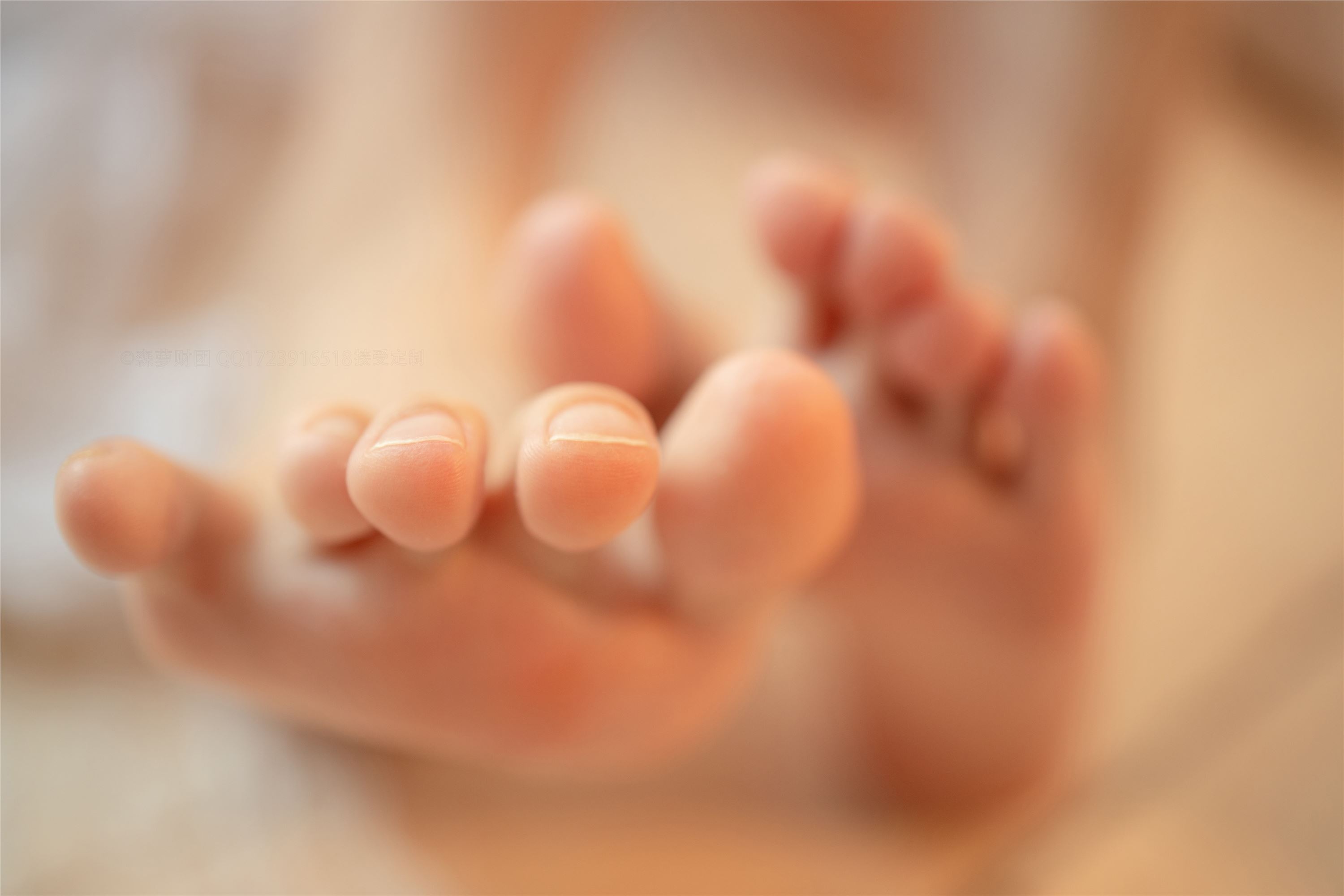 [森萝财团]萝莉丝足写真 ALPHA-020