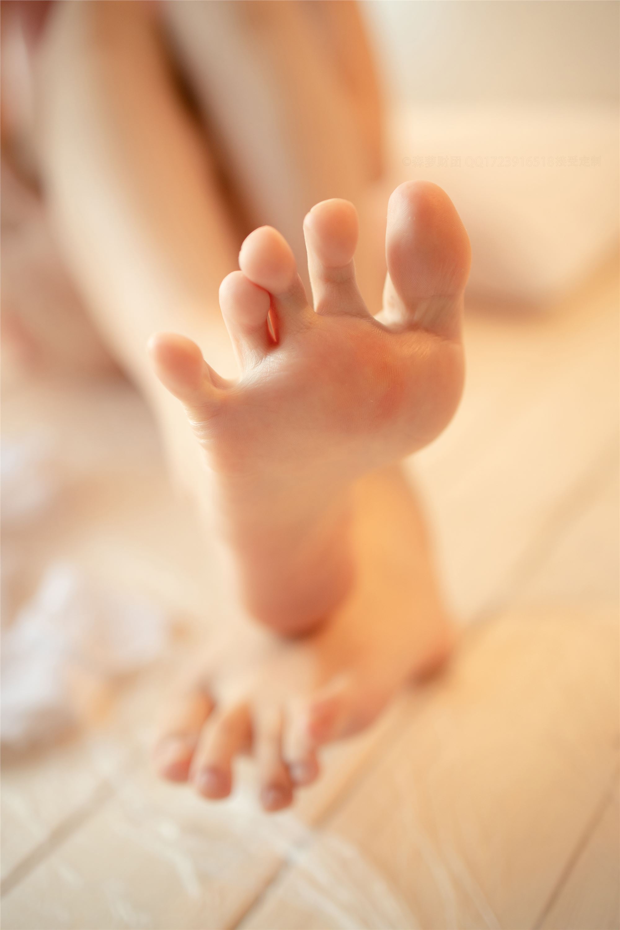 [森萝财团]萝莉丝足写真 ALPHA-020