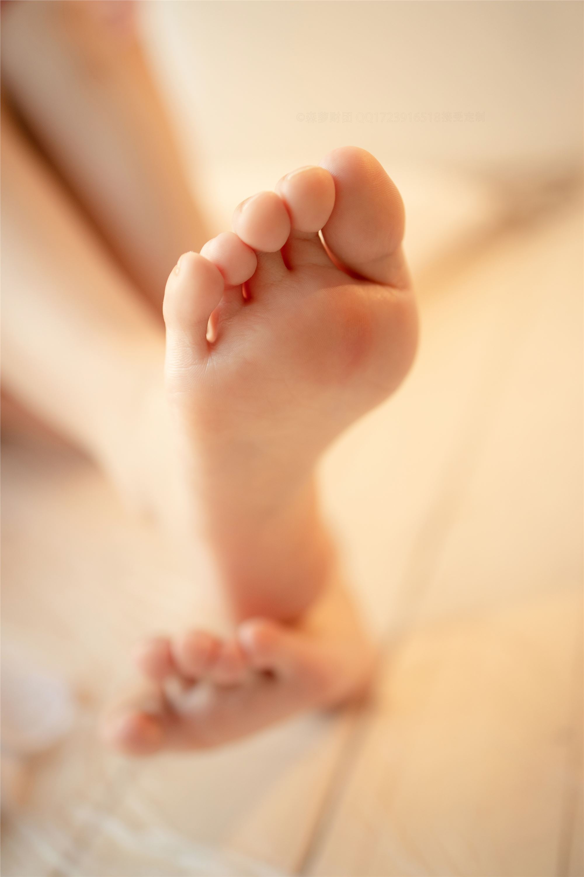 [森萝财团]萝莉丝足写真 ALPHA-020