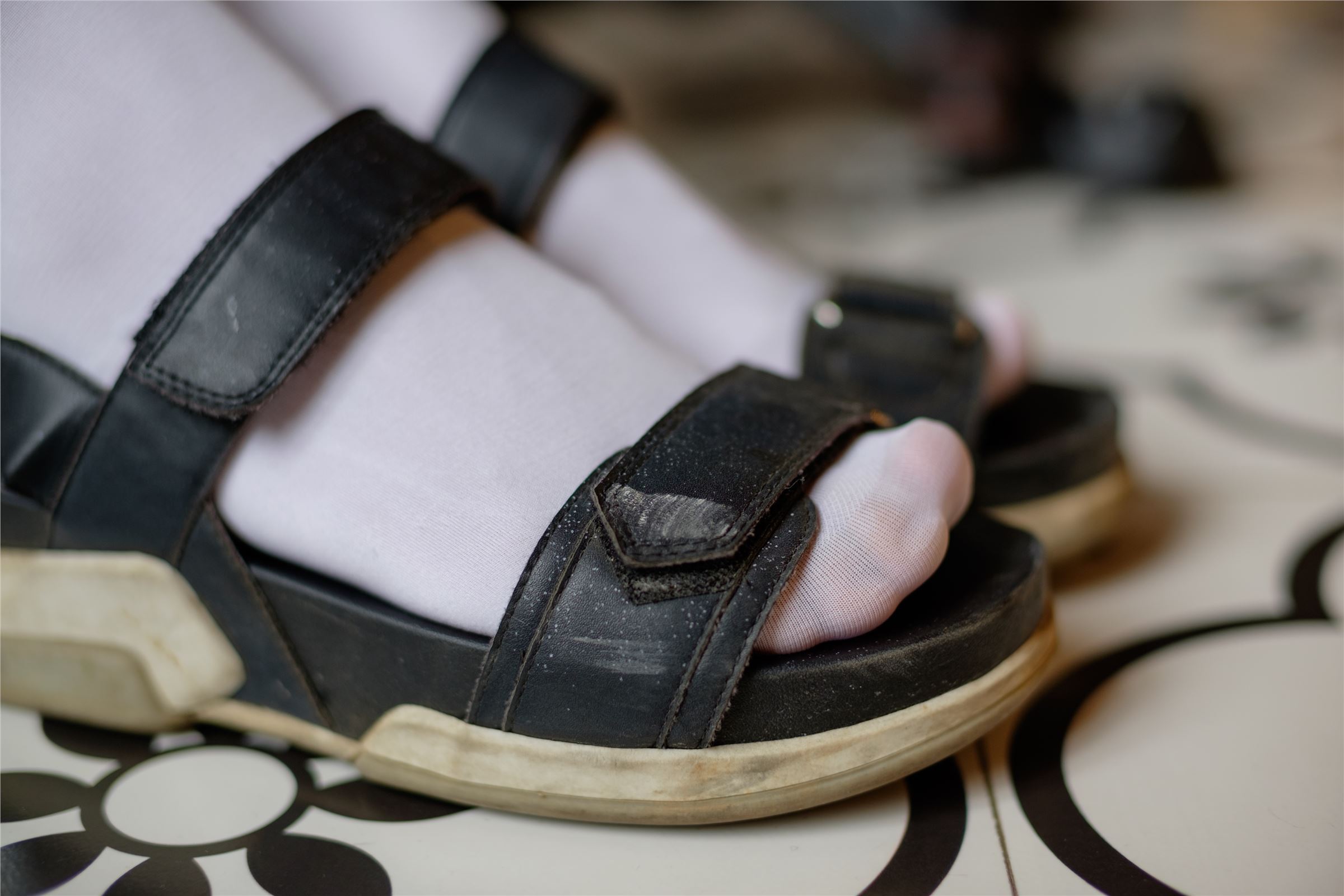 森萝财团写真 – FREE-001