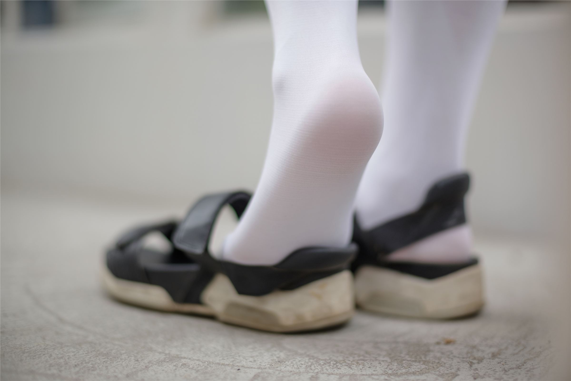 森萝财团写真 – FREE-001