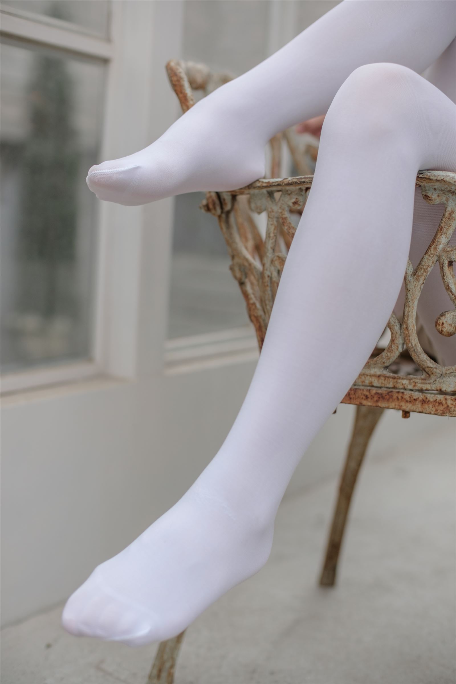 森萝财团写真 – FREE-001