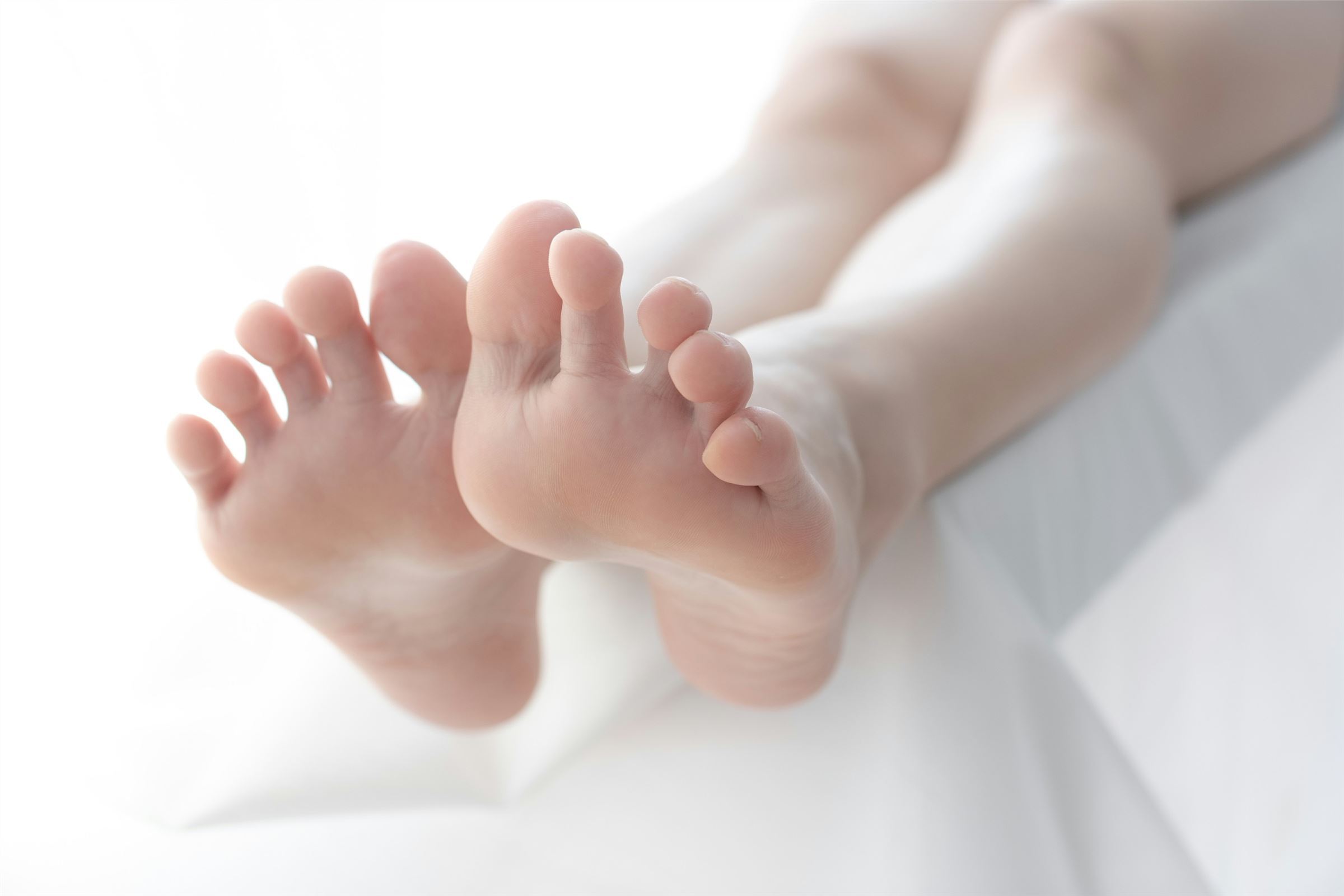 森萝财团写真  [LOVEPLUS-002]