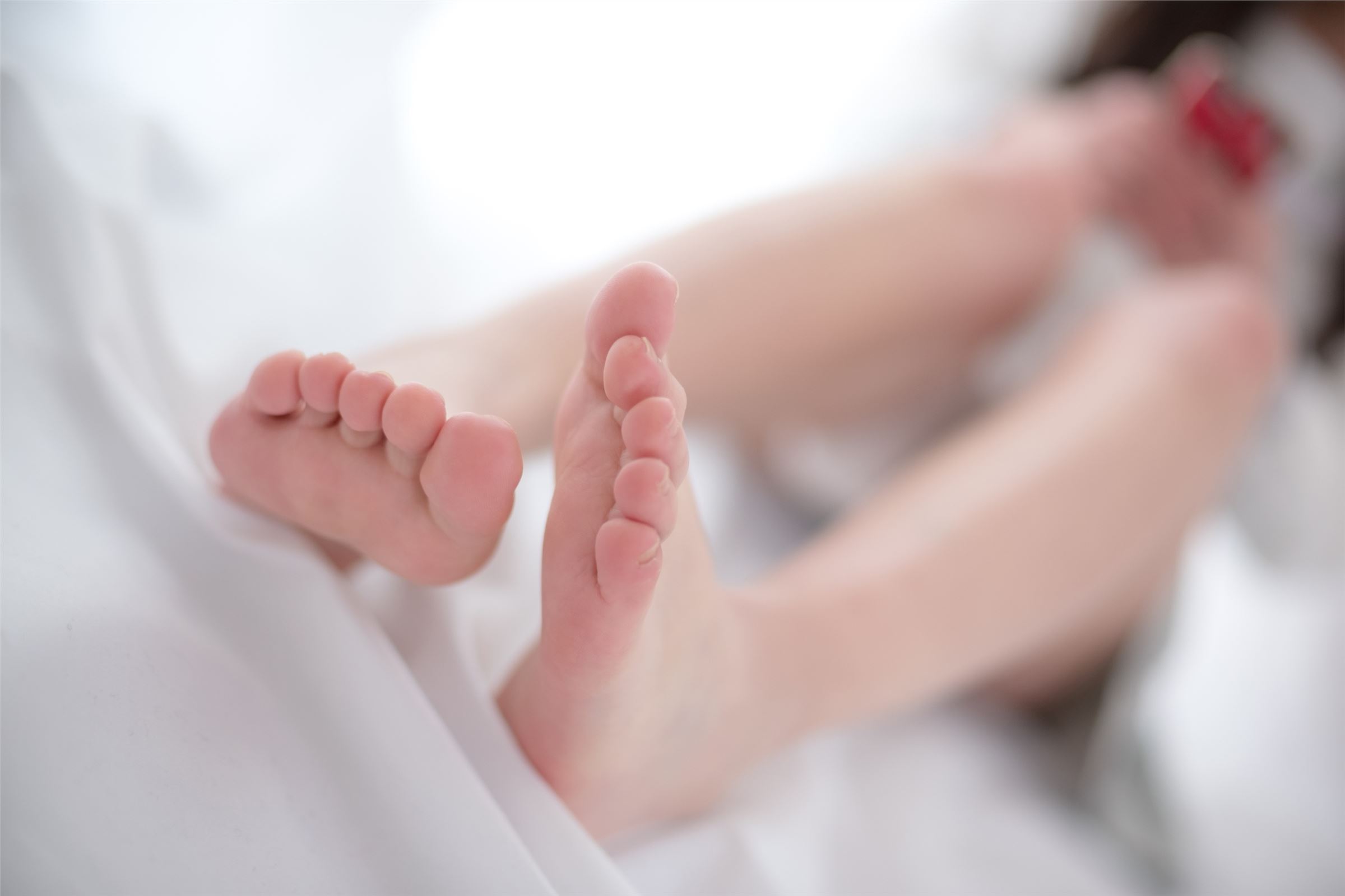 森萝财团写真 - [R15-046] 薄丝美足