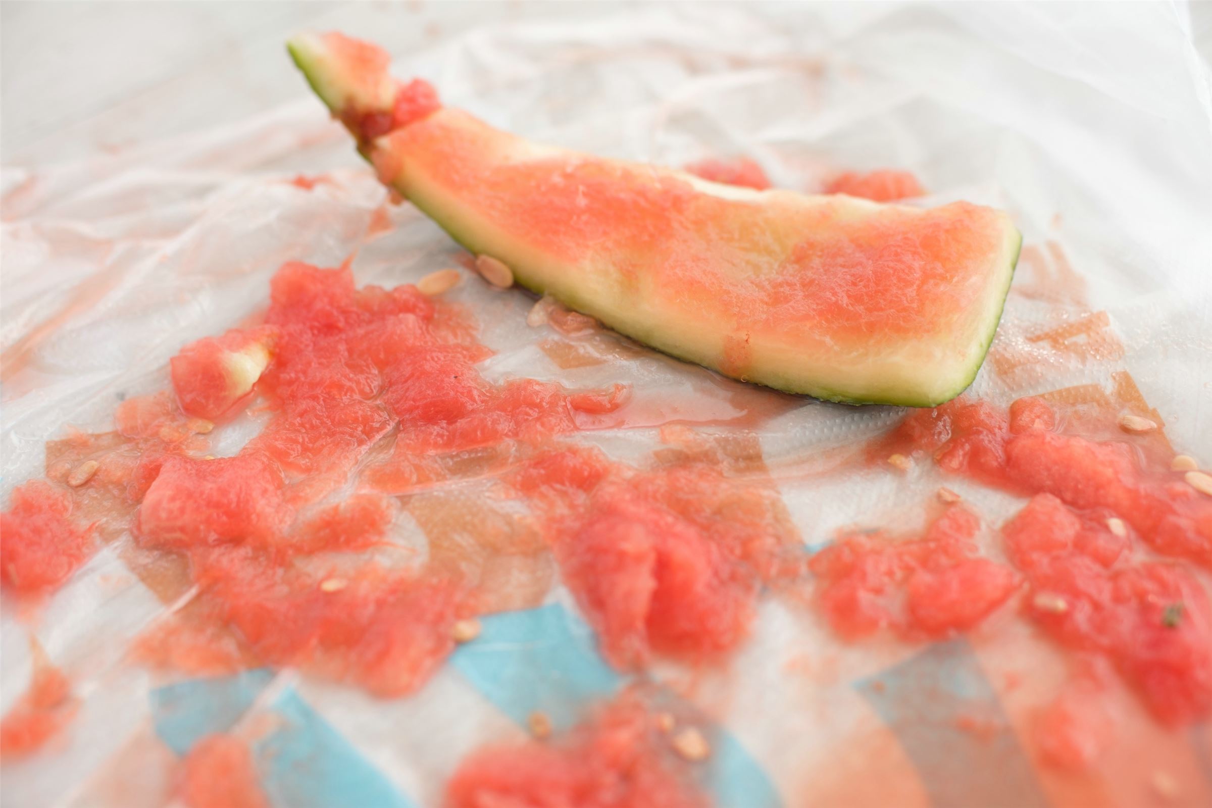 森萝财团写真 - [X-035]