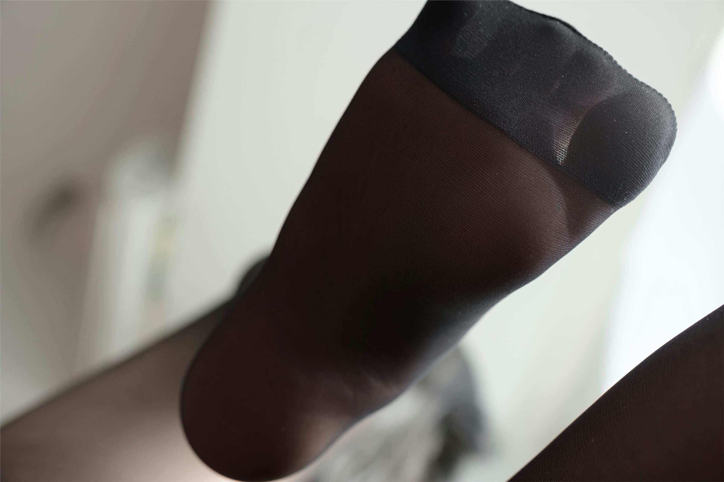 森萝财团写真 [X-40]