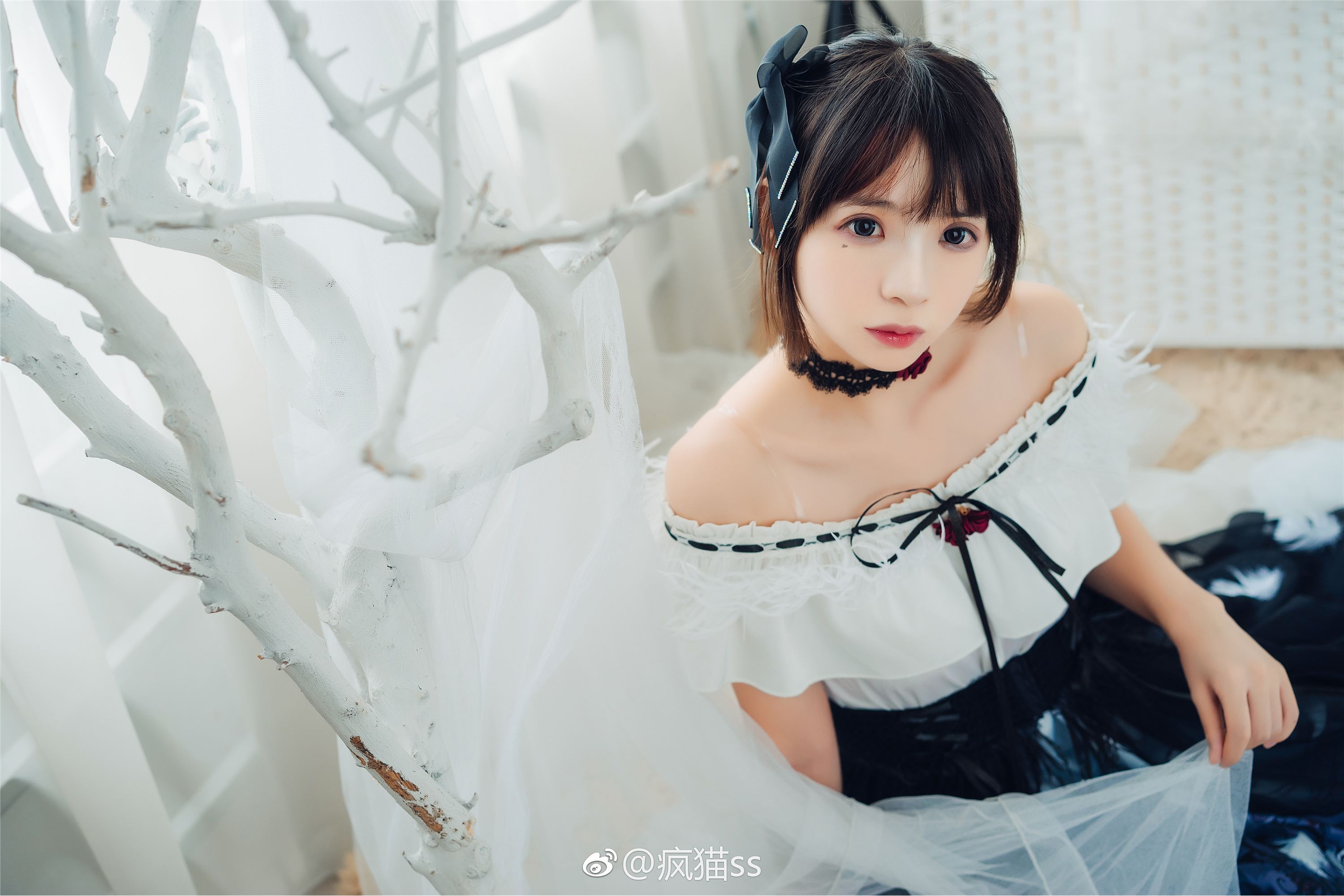 疯猫ss FM系列 1-4