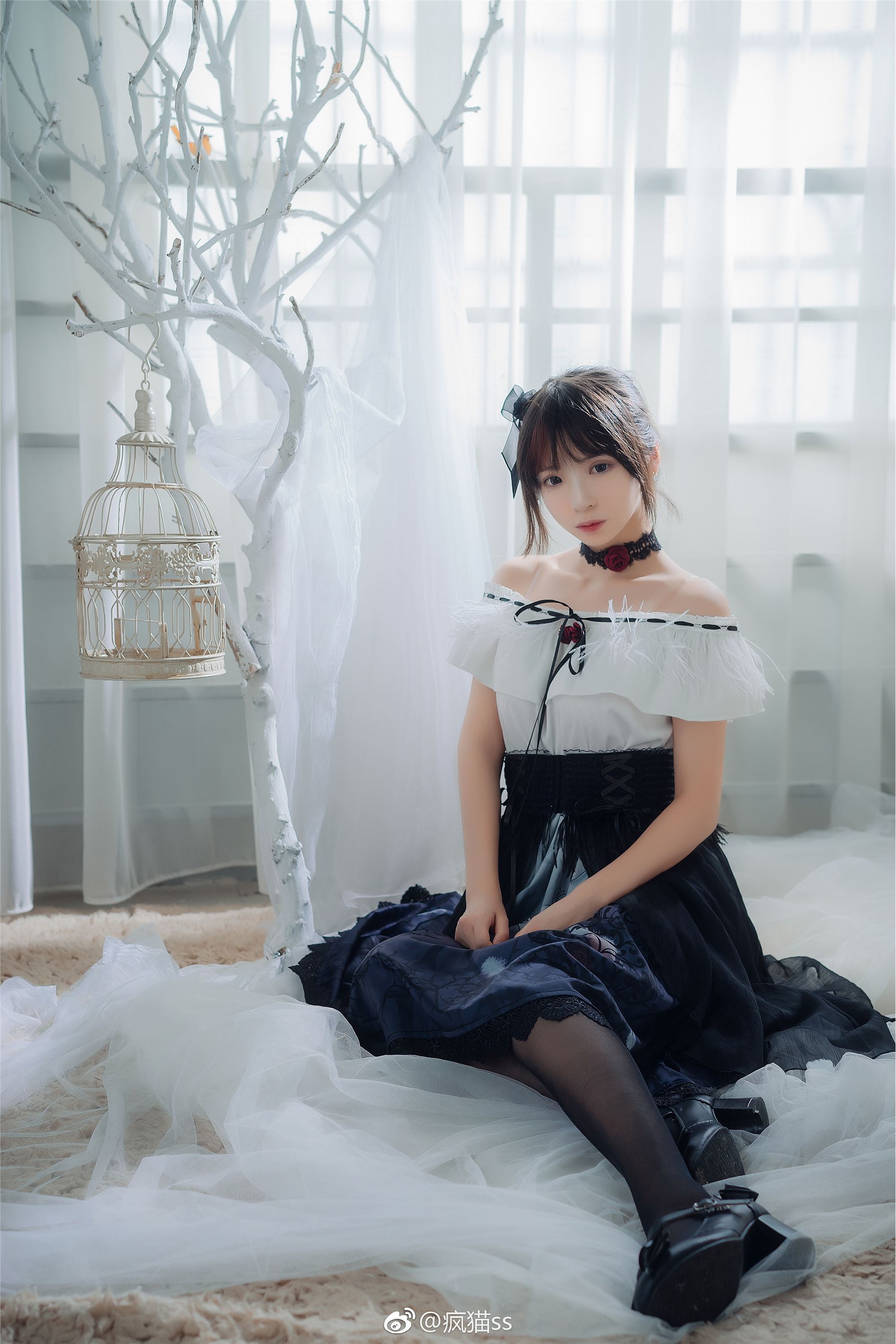 疯猫ss FM系列 1-4