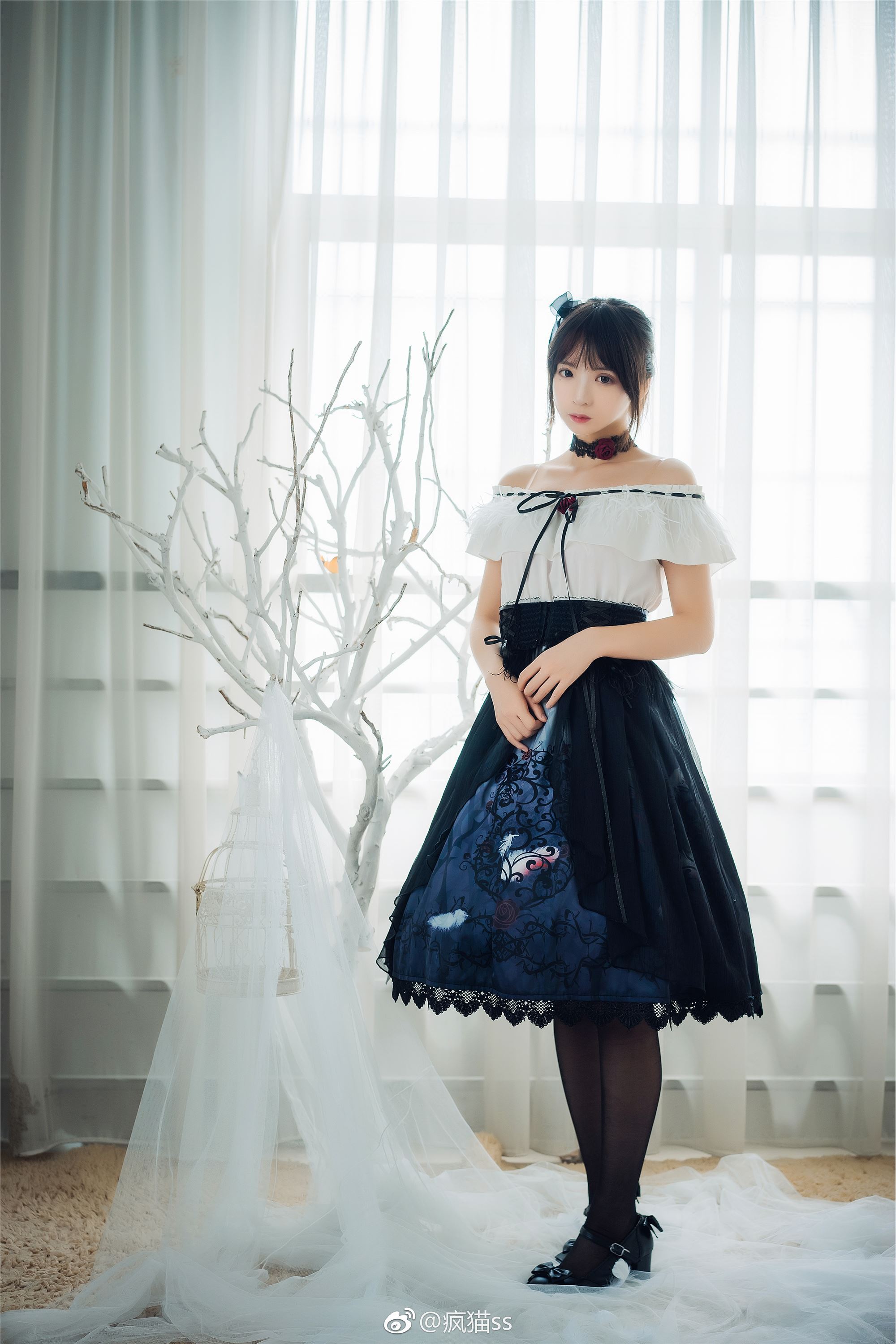 疯猫ss FM系列 1-4