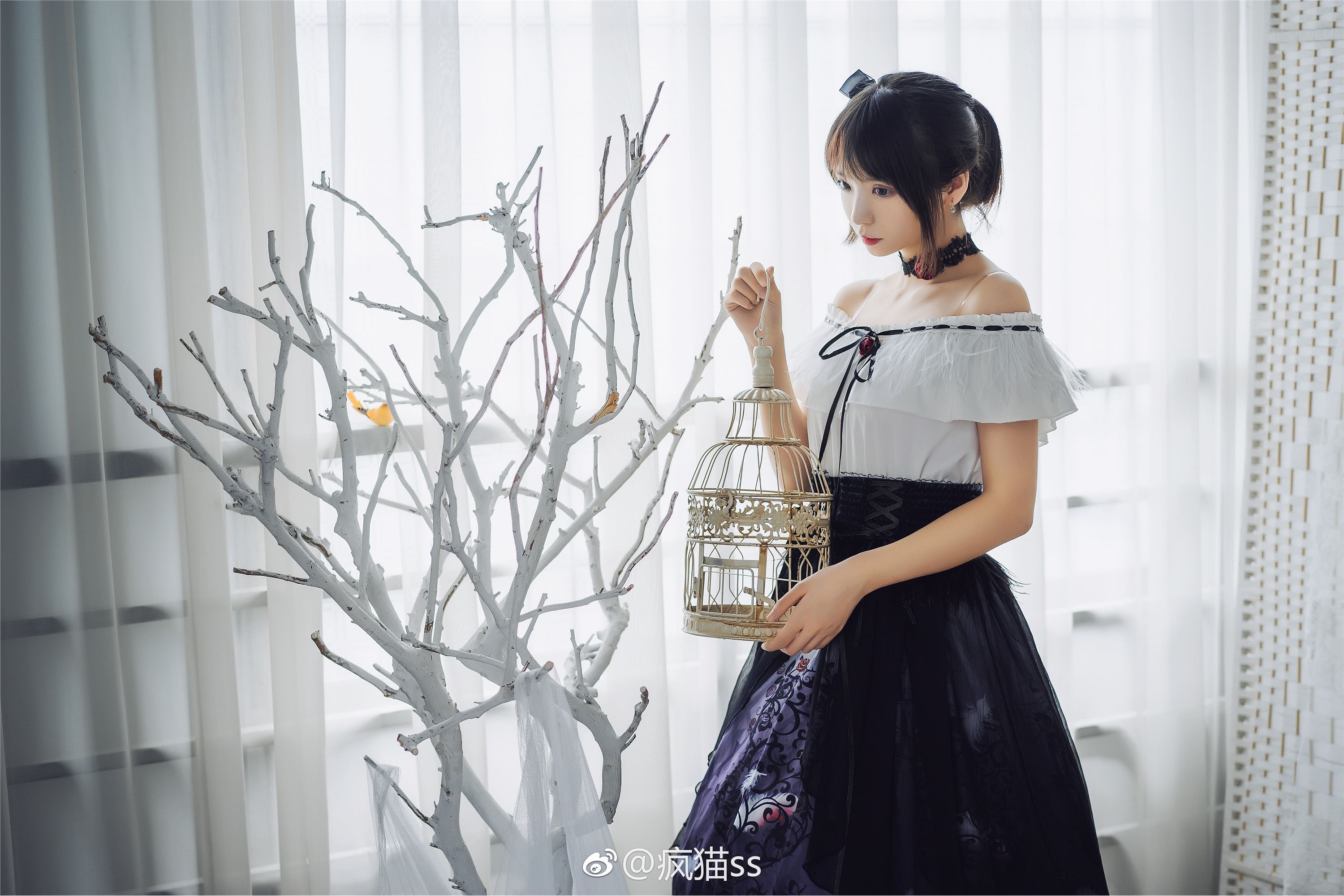 疯猫ss FM系列 1-4