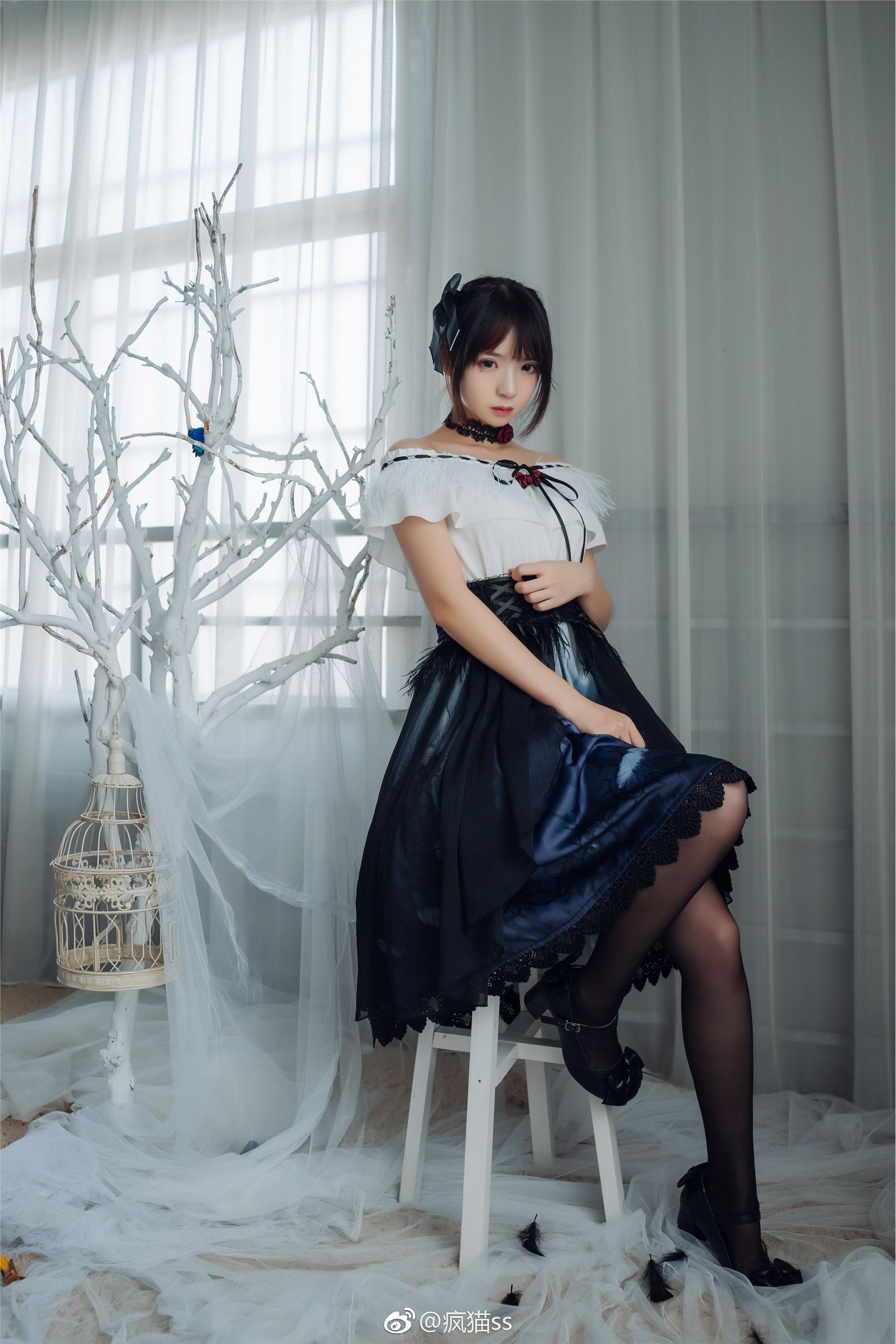 疯猫ss FM系列 1-4