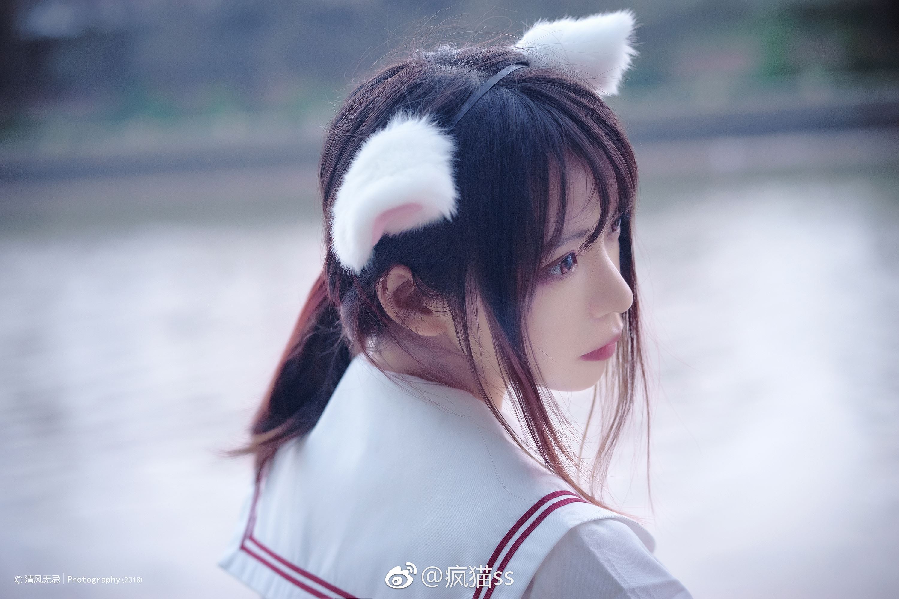 疯猫ss FM系列 5-8