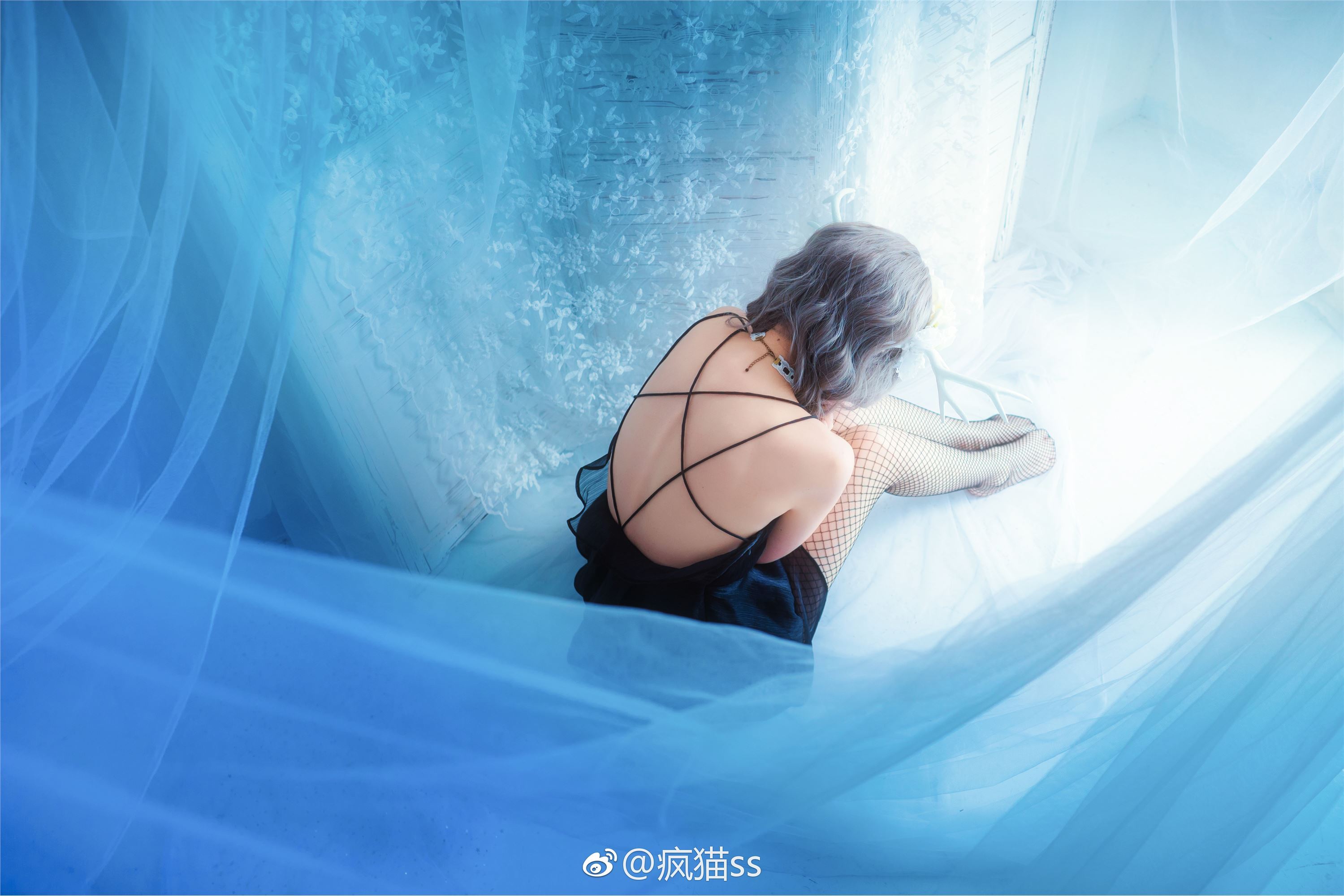 疯猫ss FM系列 5-8