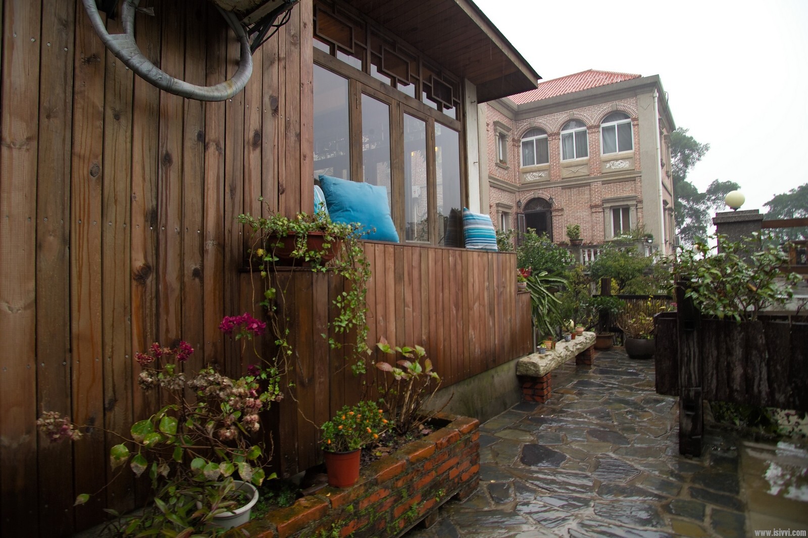 希威社VIP合辑 VIP023