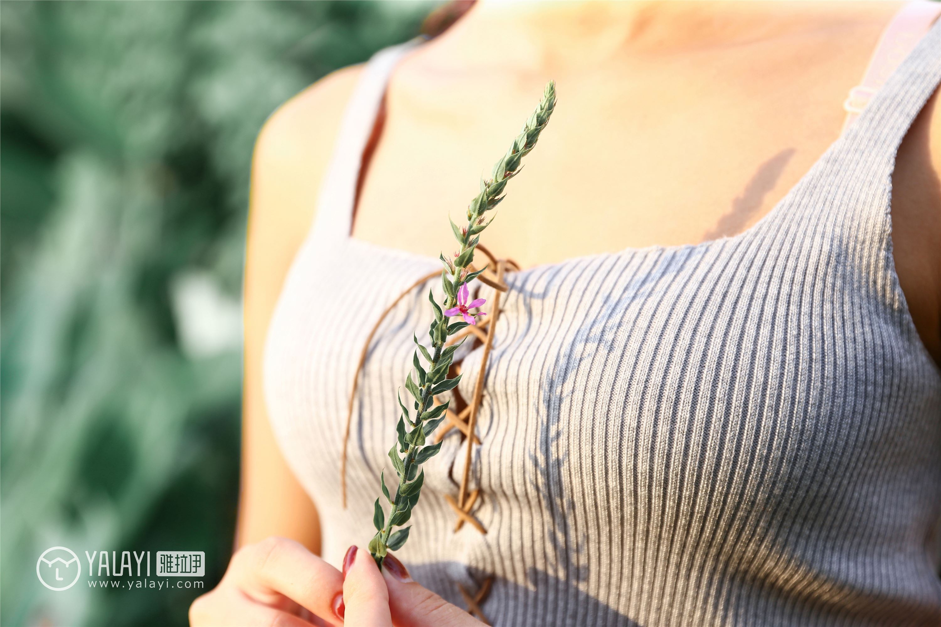 [YALAYI雅拉伊]2018.11.25 No.026 花儿少女 兔洱