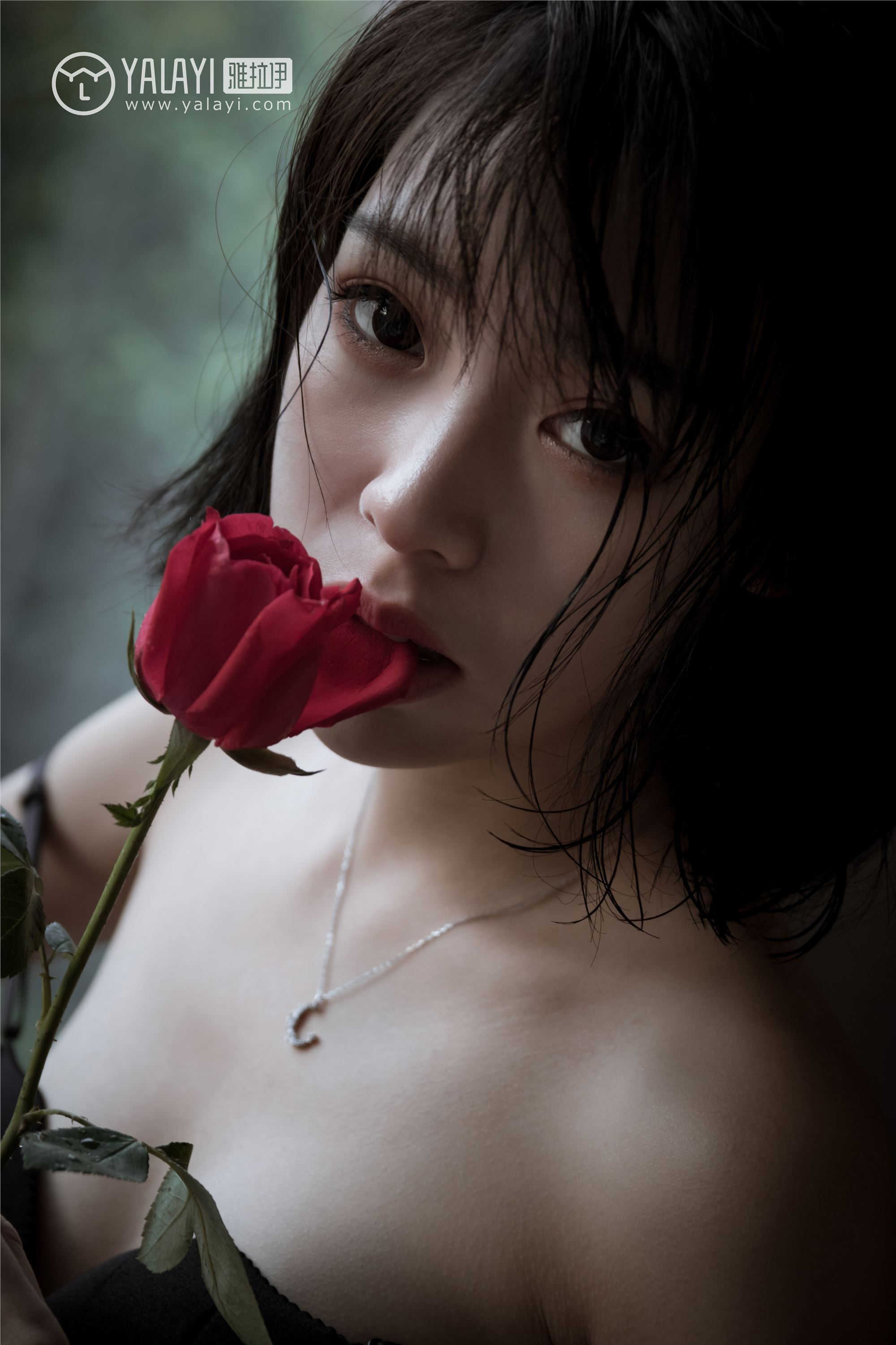 [YALAYI雅拉伊]2019.03.12 No.058 幻象气球 小杨