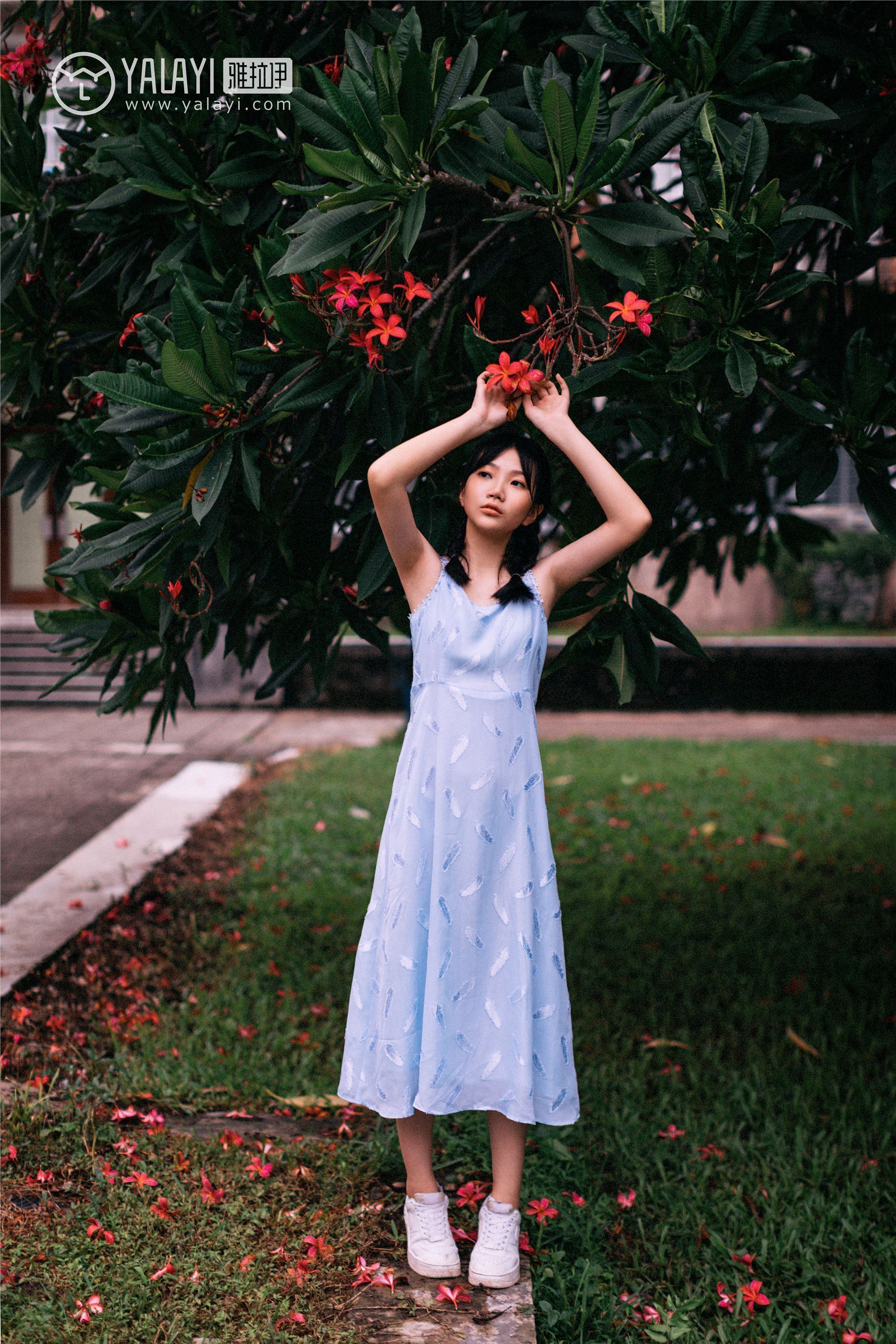 [YALAYI雅拉伊]2019.02.28 No.082 绿喜青花 Doubleyu