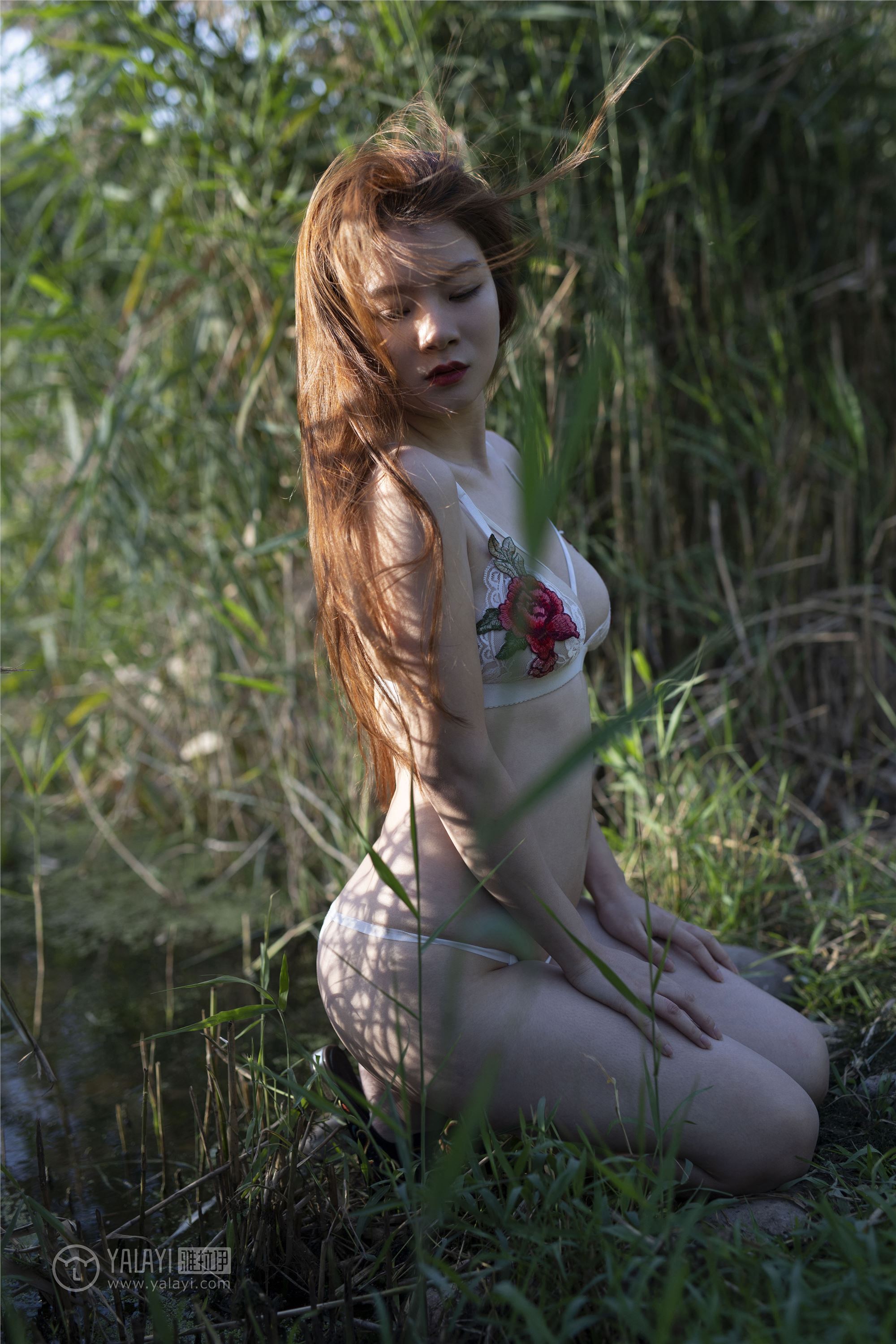 [YALAYI雅拉伊]2018.12.05 No.137 林中花 宁小祥