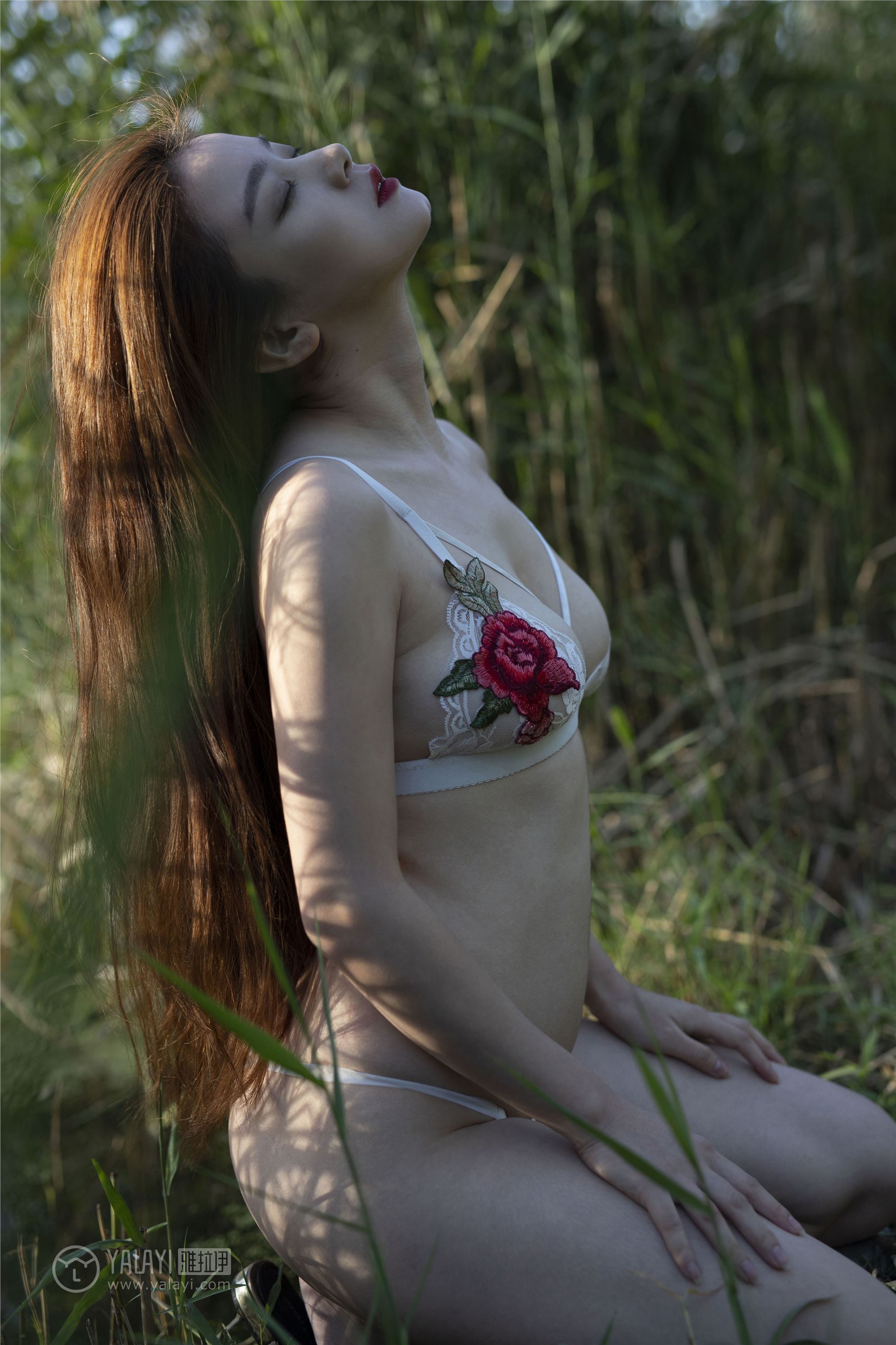 [YALAYI雅拉伊]2018.12.05 No.137 林中花 宁小祥