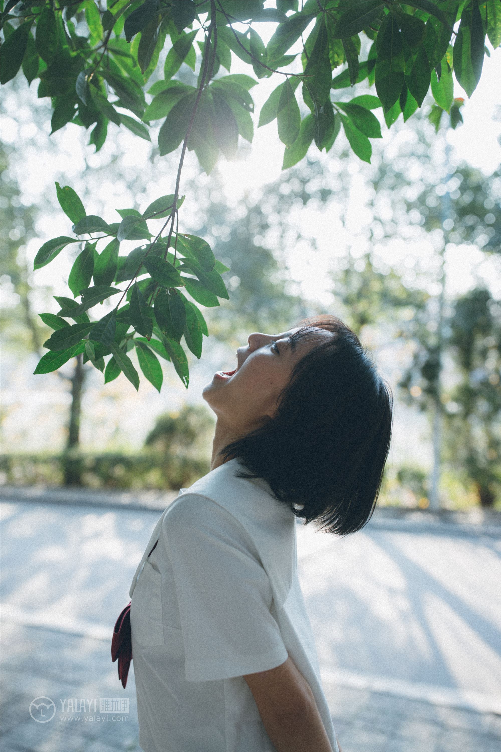 [YALAYI雅拉伊]2018.12.31 No.156 带我走带我飞 米粒米粒