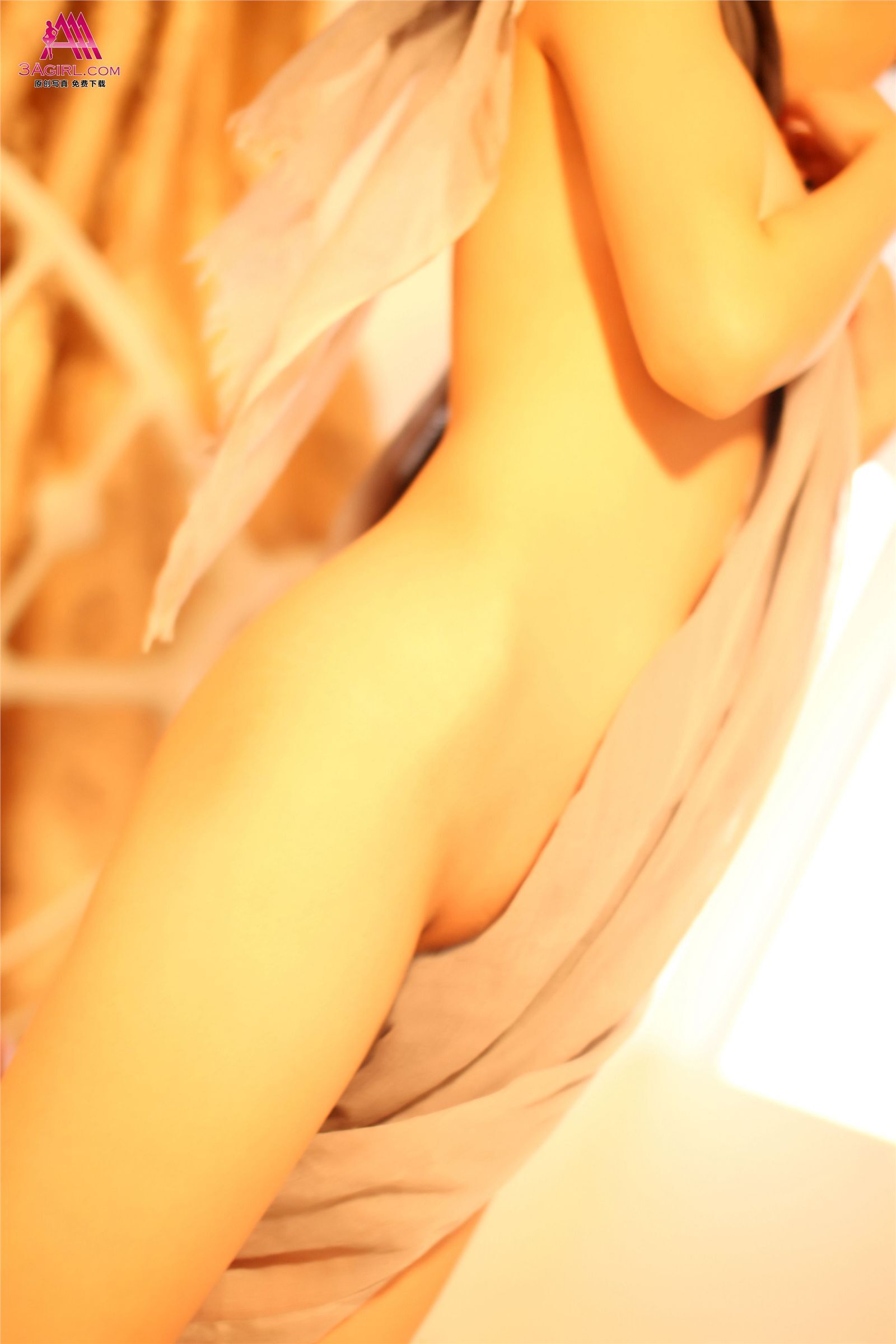 [3Agirl] [03-14] AAA女郎 No.219 玉體橫流：珍妮（上）