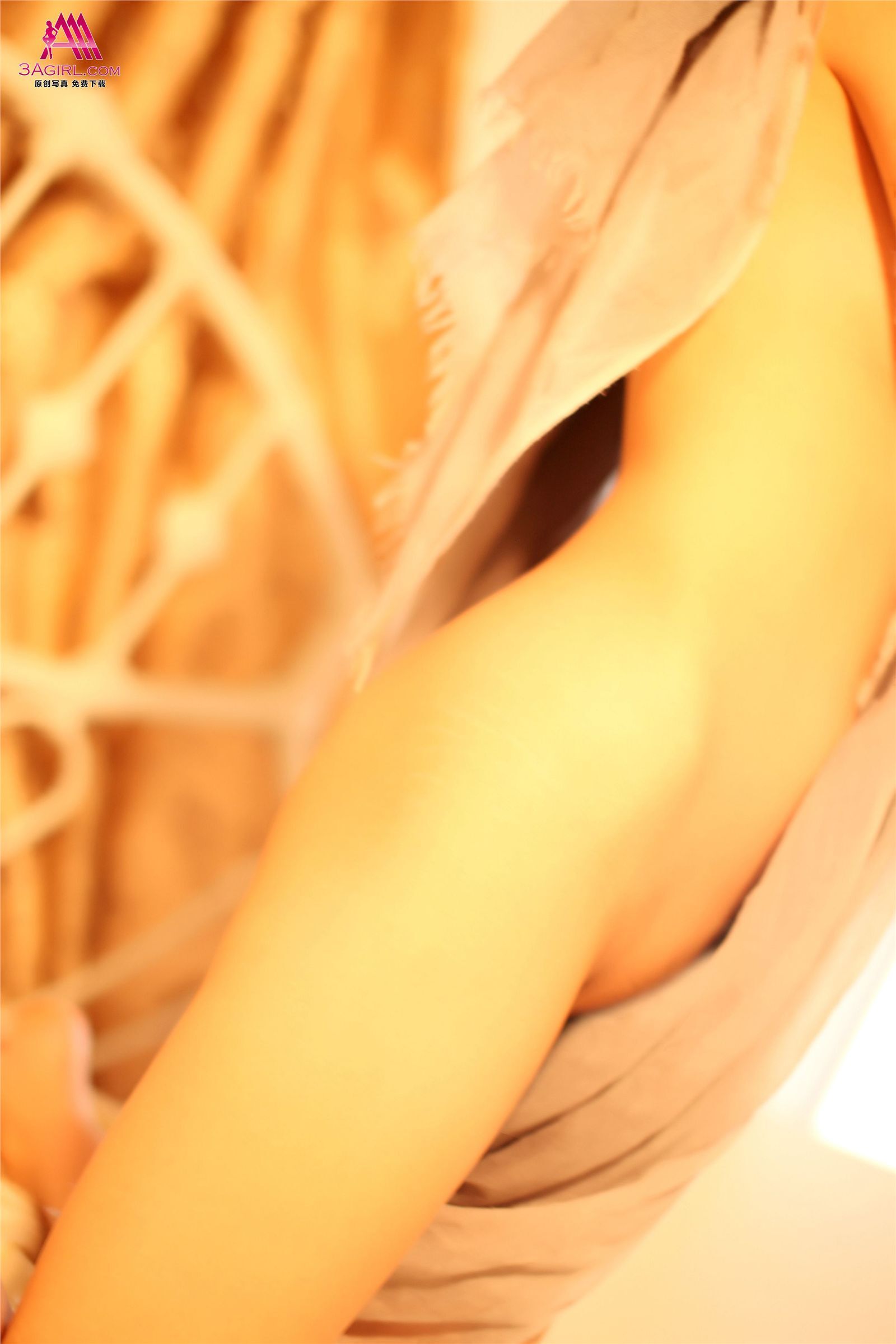 [3Agirl] [03-14] AAA女郎 No.219 玉體橫流：珍妮（上）