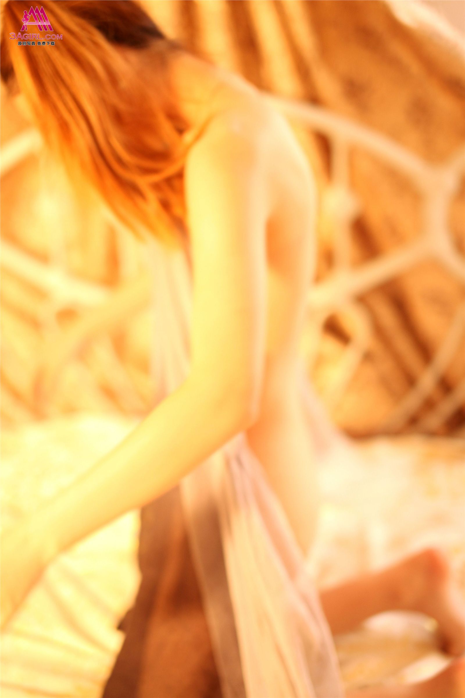 [3Agirl] [03-14] AAA女郎 No.219 玉體橫流：珍妮（上）