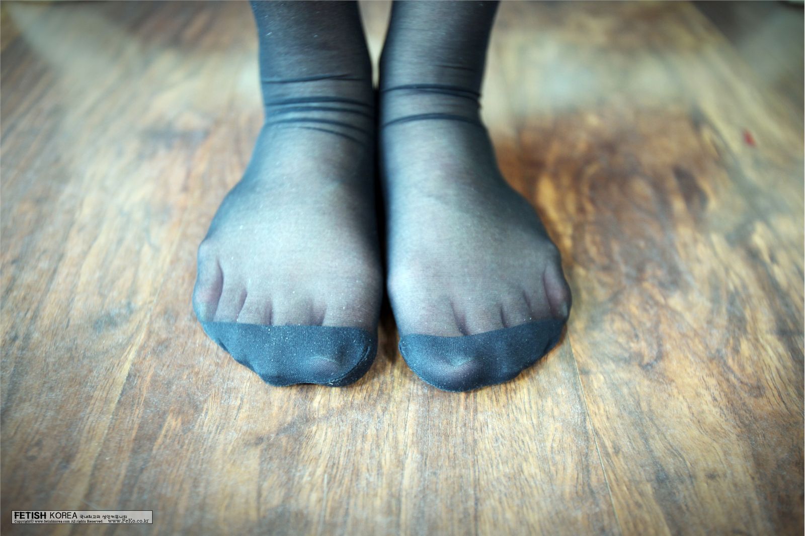 MD-470  [Fetishkorea] 韩国丝袜美女