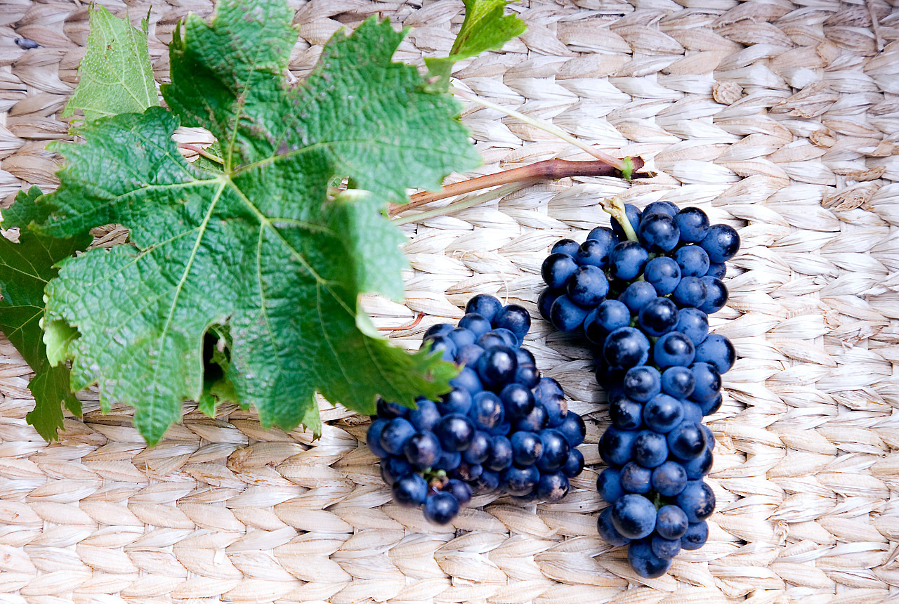 杉本有美 人面桃花 Breezin Image.tv　日本美女套图