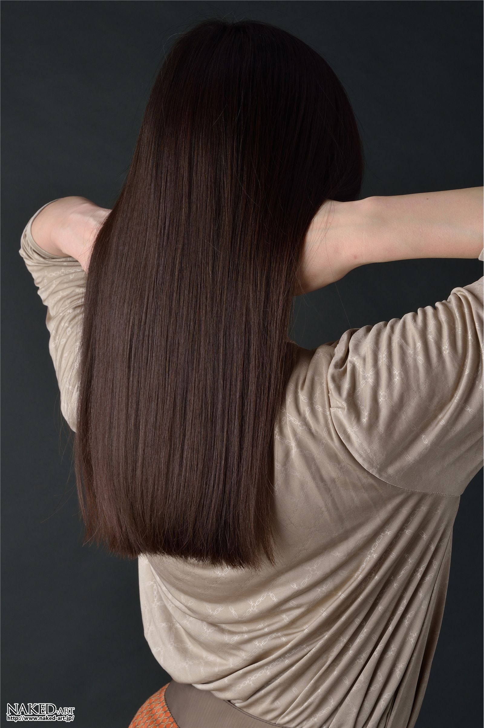 [NAKED-ART]  NO.00588 ふくもとみさえ 人妻白書 女优写真