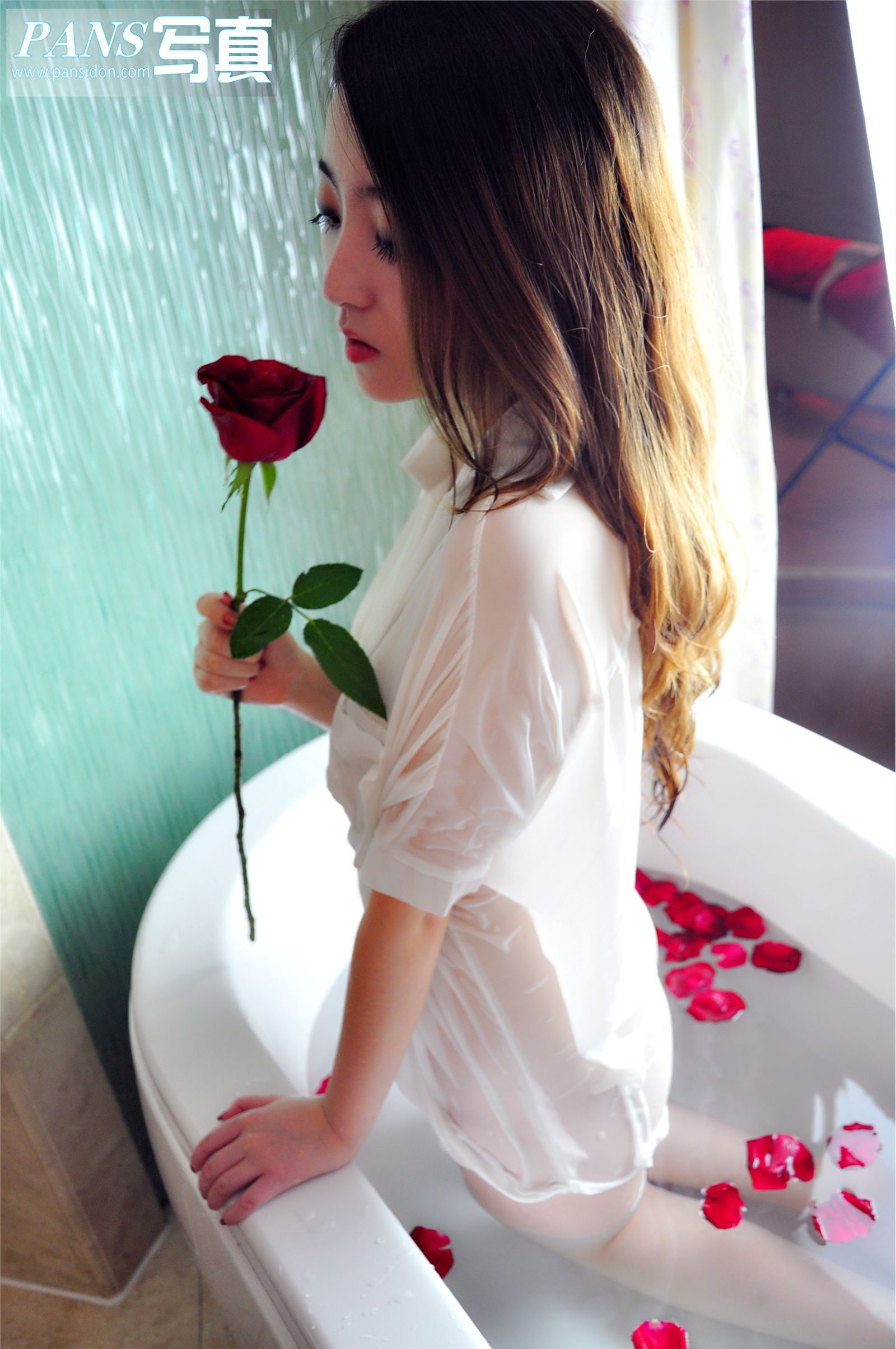 [PANS写真] 20130828 No.118 紫萱