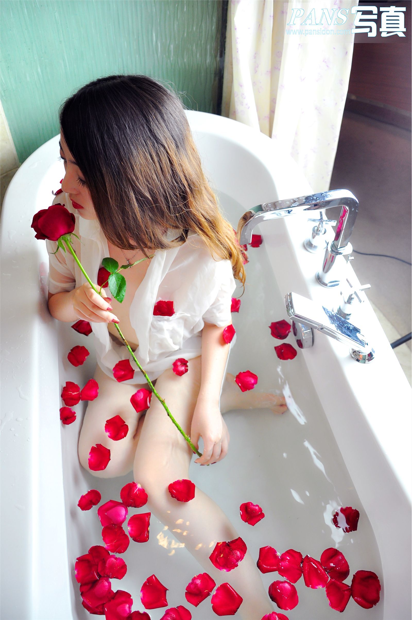 [PANS写真] 20130828 No.118 紫萱