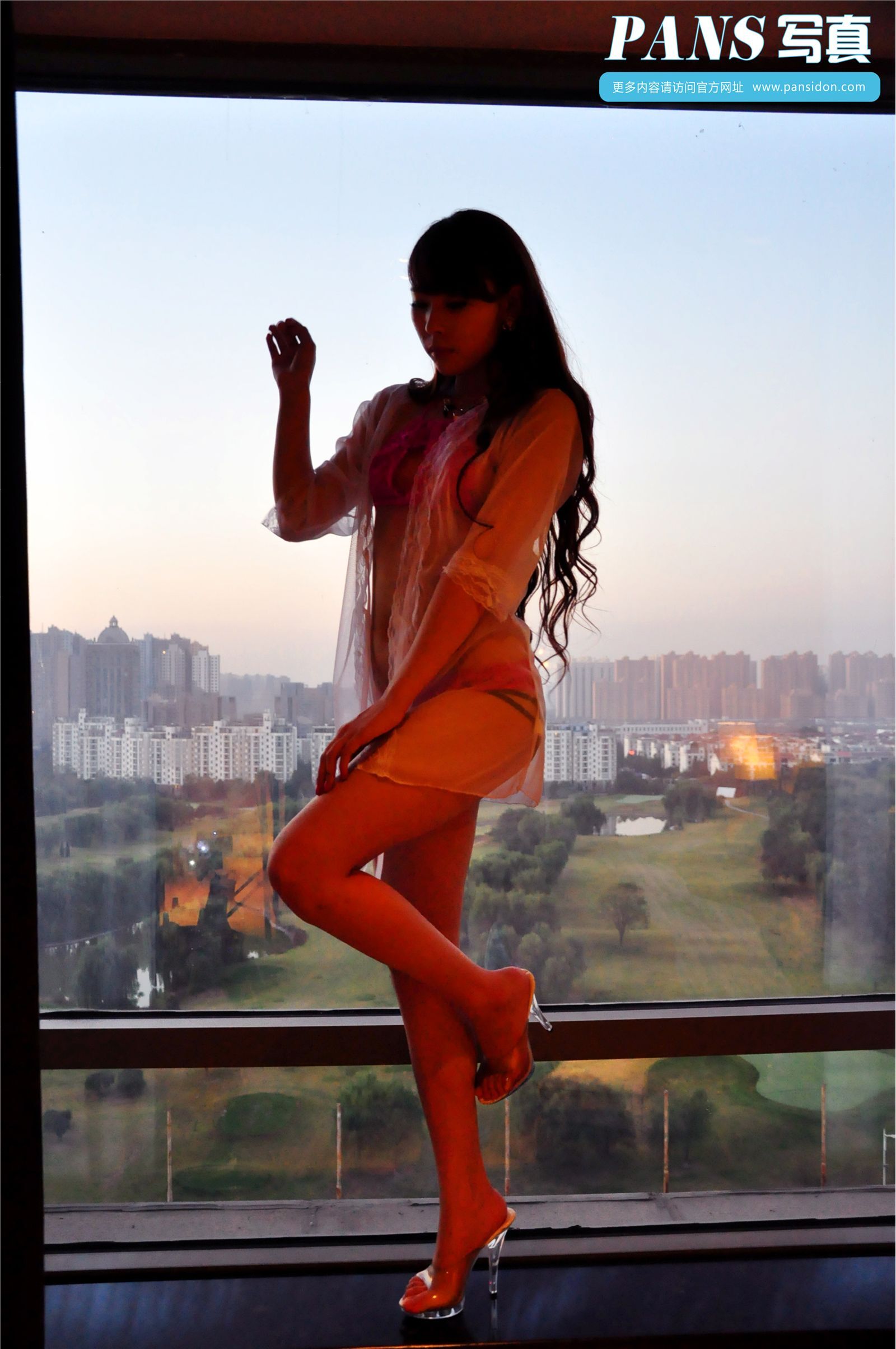 [PANS写真] 20131106 No.152 小雪