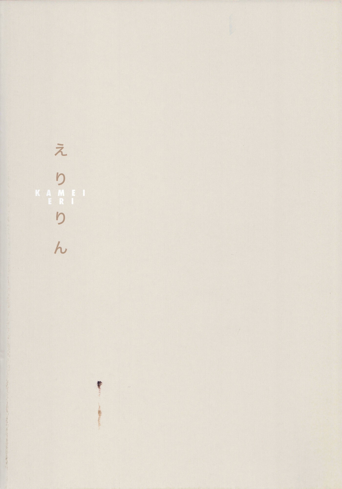 [PB写真集] Kamei Eri 9th 亀井絵里 - Eririn えりりん