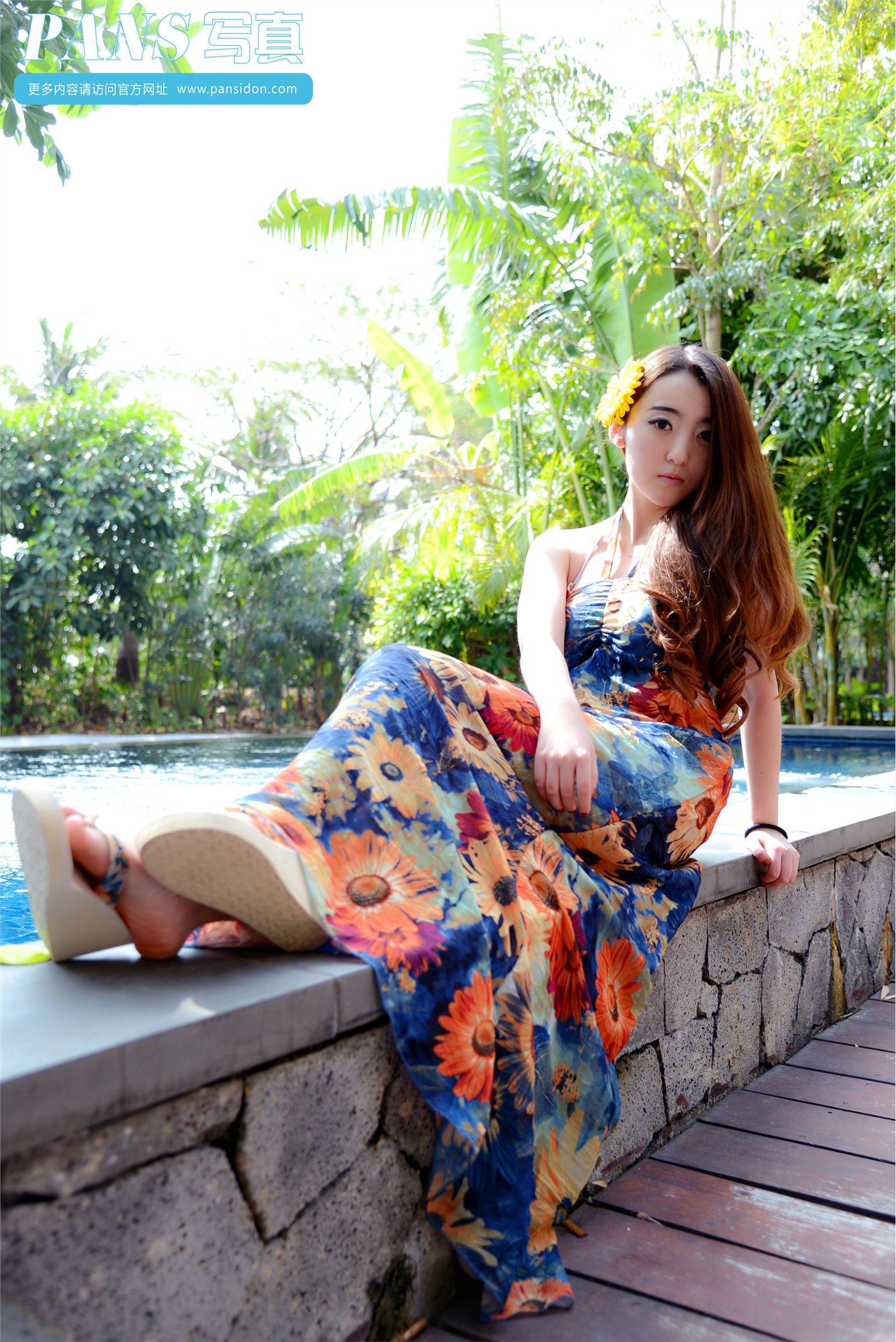 [PANS写真]2014.01.18 No.188 紫萱