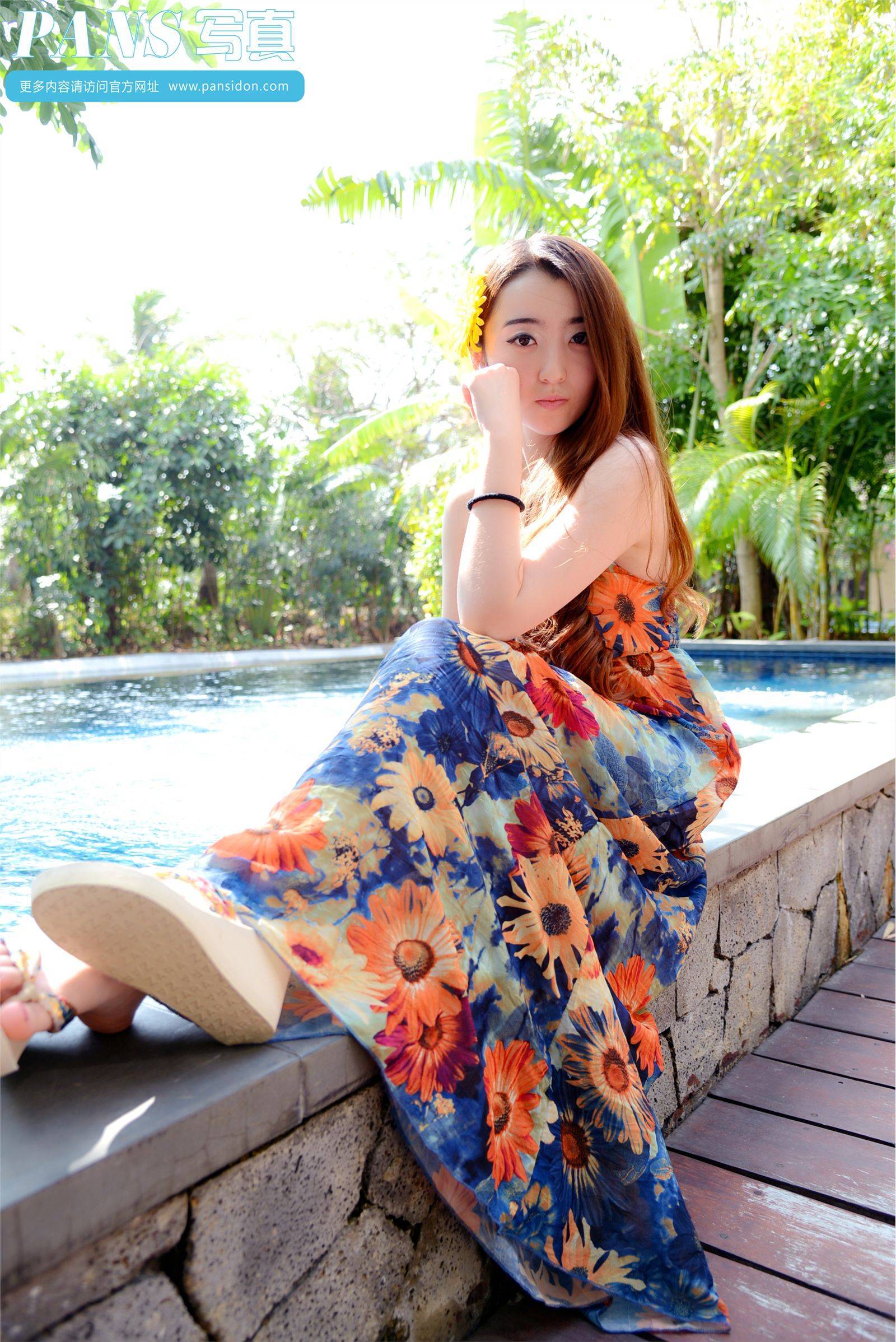 [PANS写真]2014.01.18 No.188 紫萱