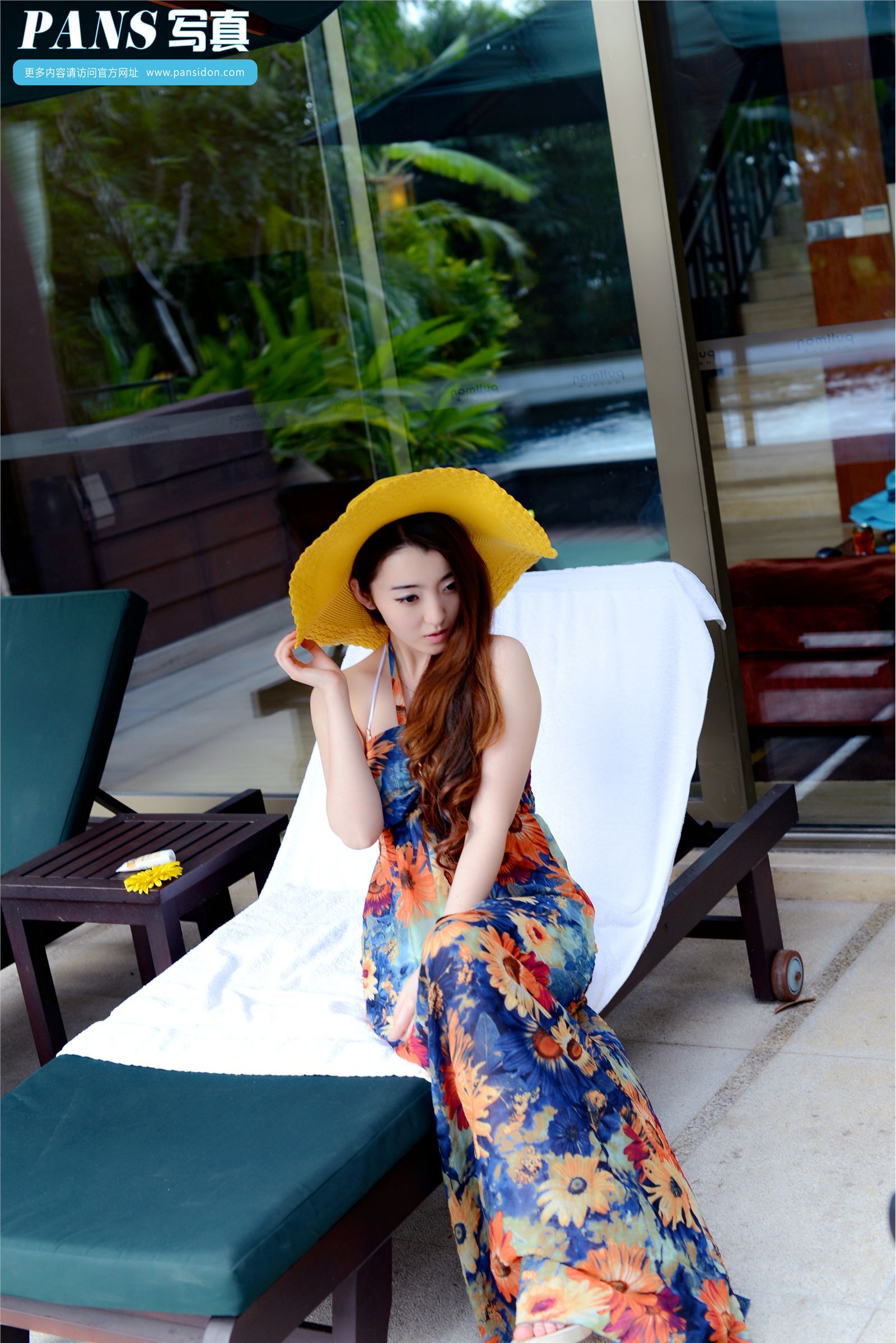 [PANS写真]2014.01.18 No.188 紫萱