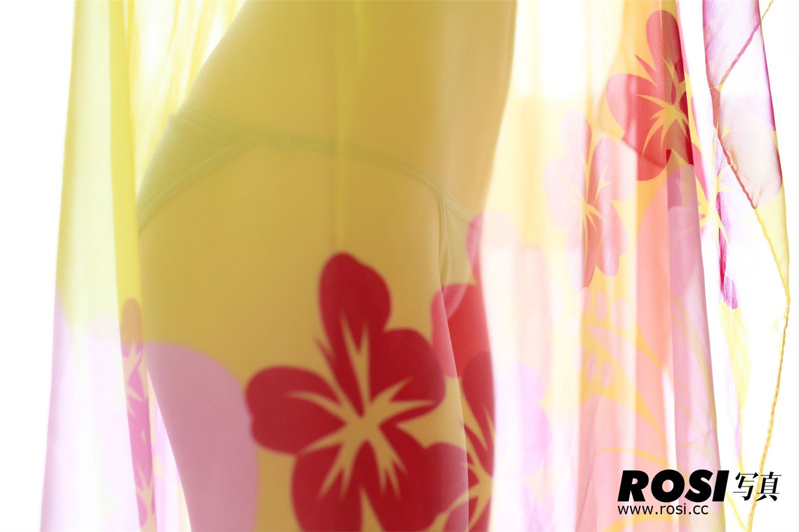 朦胧诱惑套图 ROSI丝袜美女套图 NO.015