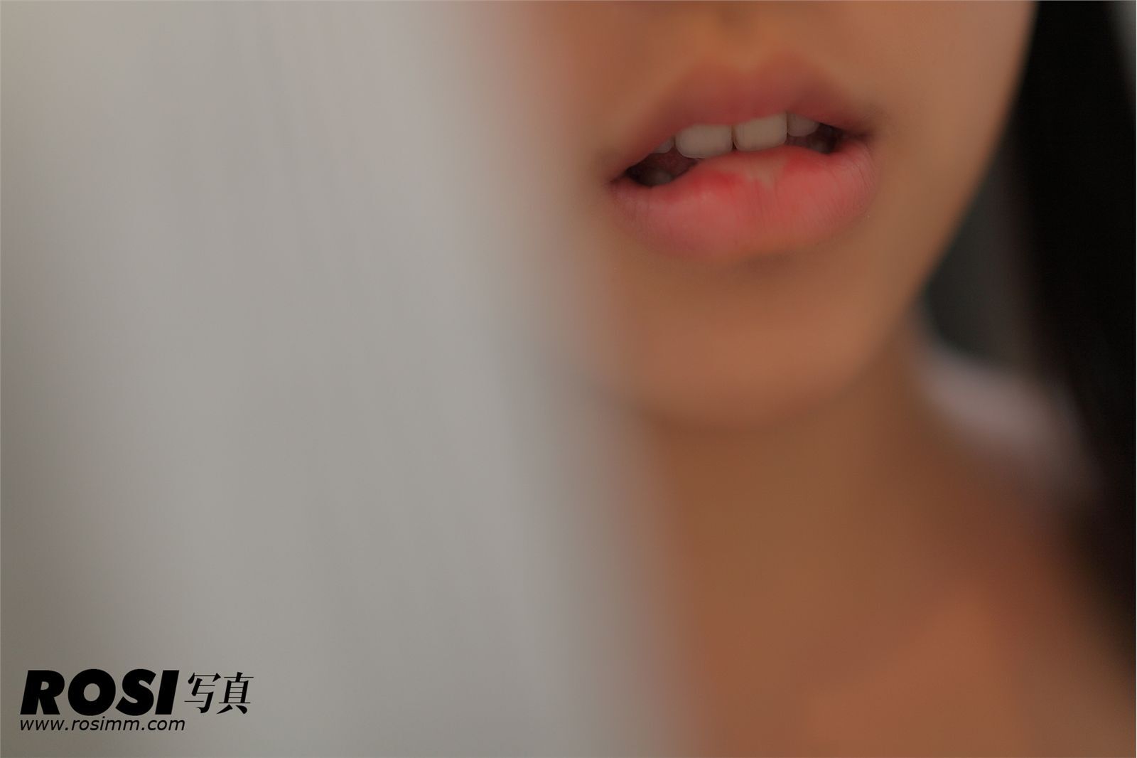 [ROSI] No.339 匿名寫真　超级大胆诱惑性感美女写真