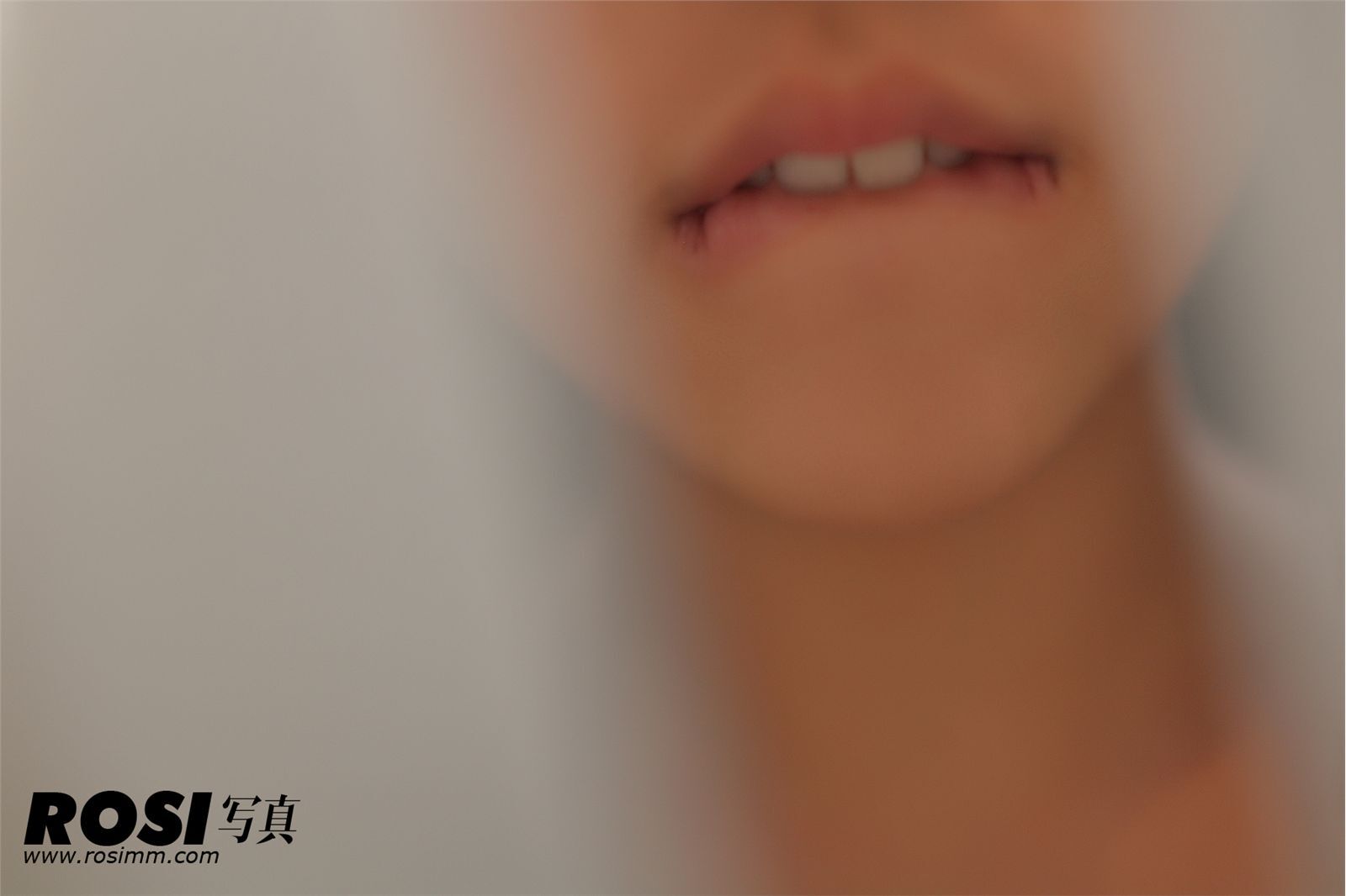 [ROSI] No.339 匿名寫真　超级大胆诱惑性感美女写真