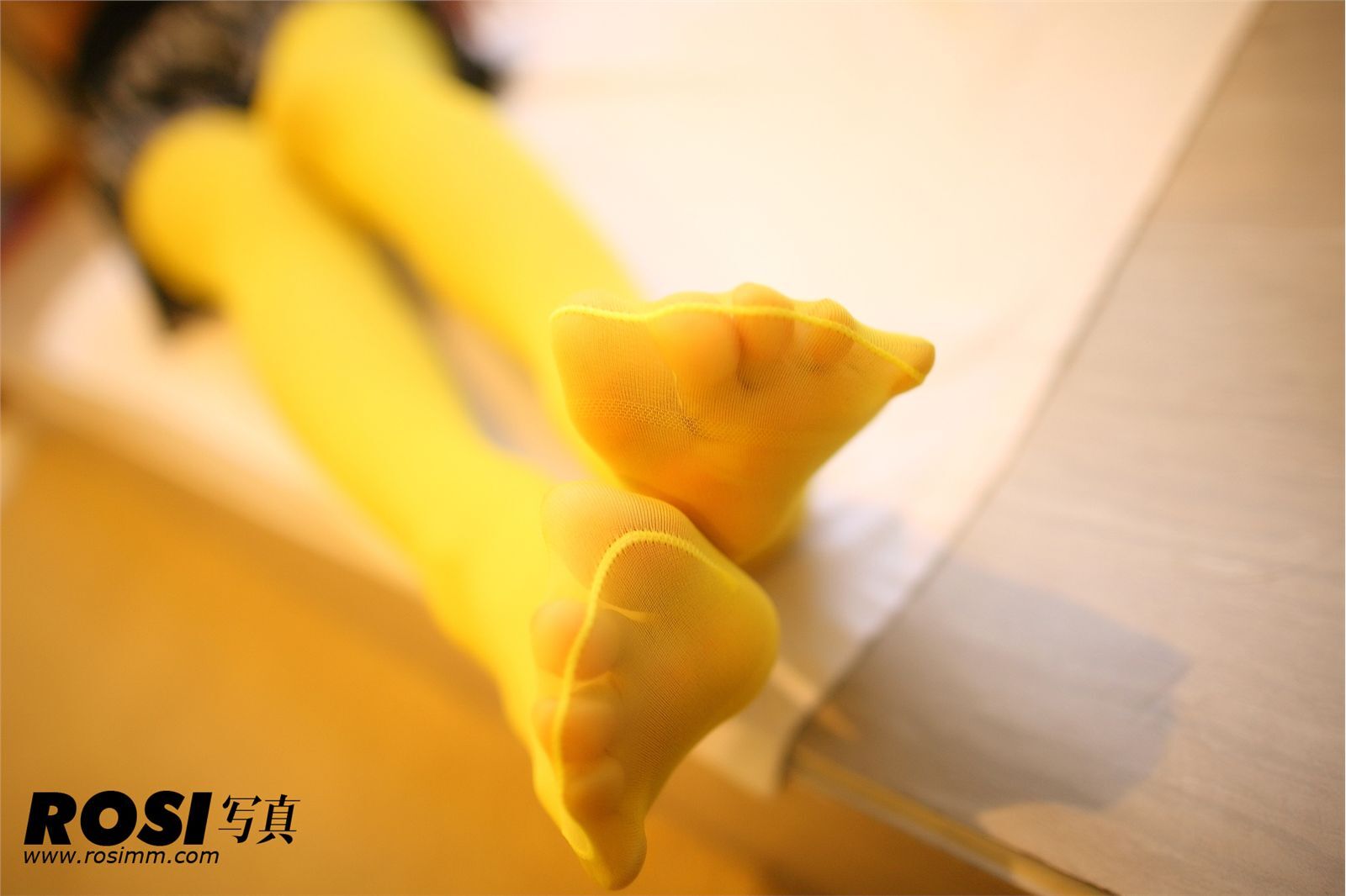 [ROSI] 20130210 NO.469 匿名寫真 丝袜美女图片