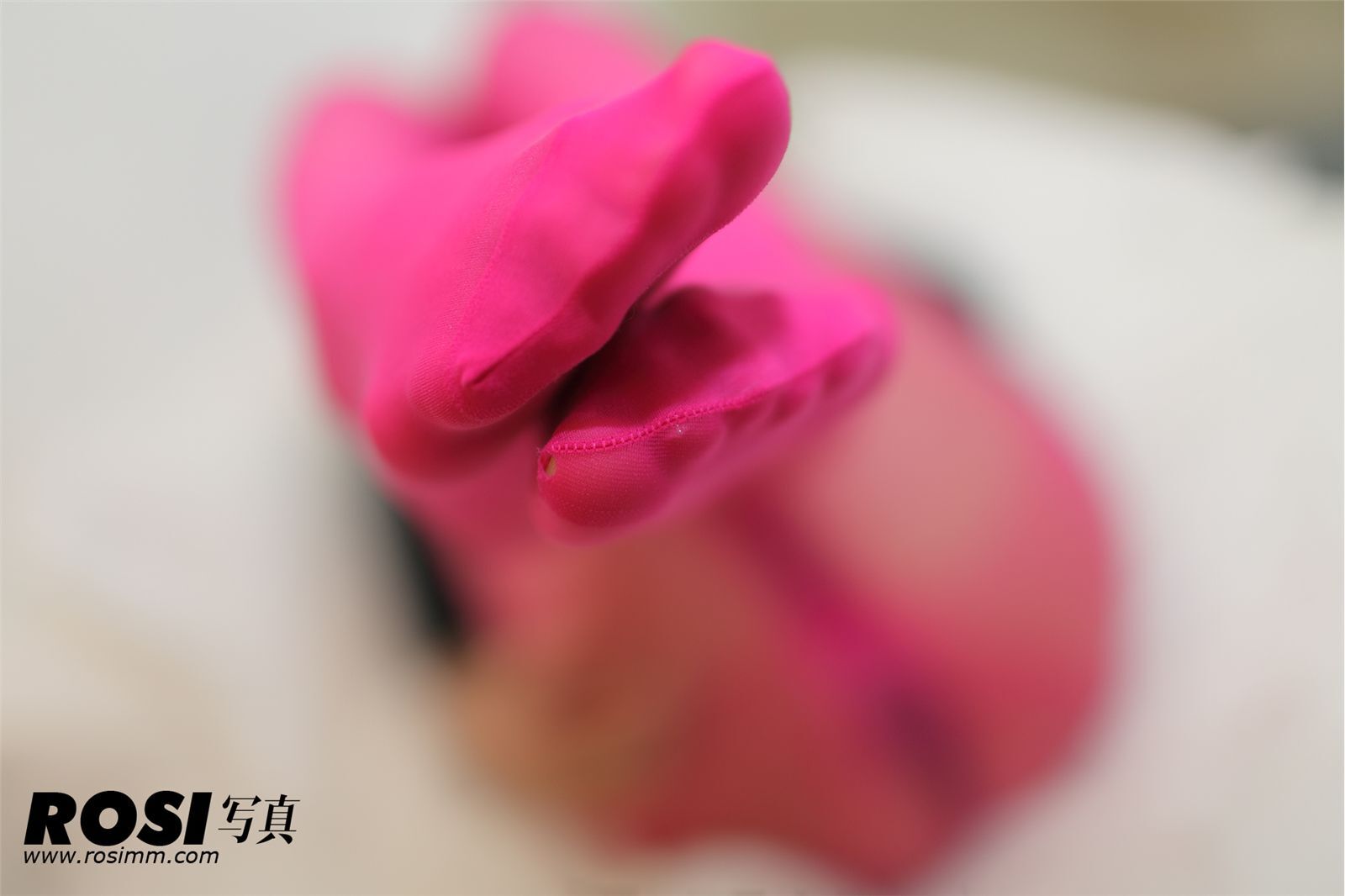 [ROSI] No.375 匿名寫真 大胆性感丝袜美女图片大全